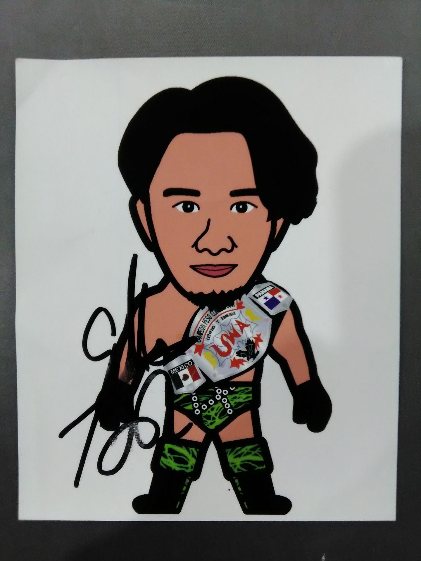 Pro Wrestling Accessories(42)