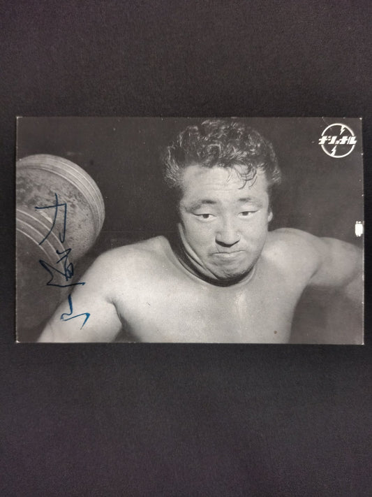 力道山 ナショナルバイブレーター ポストカード