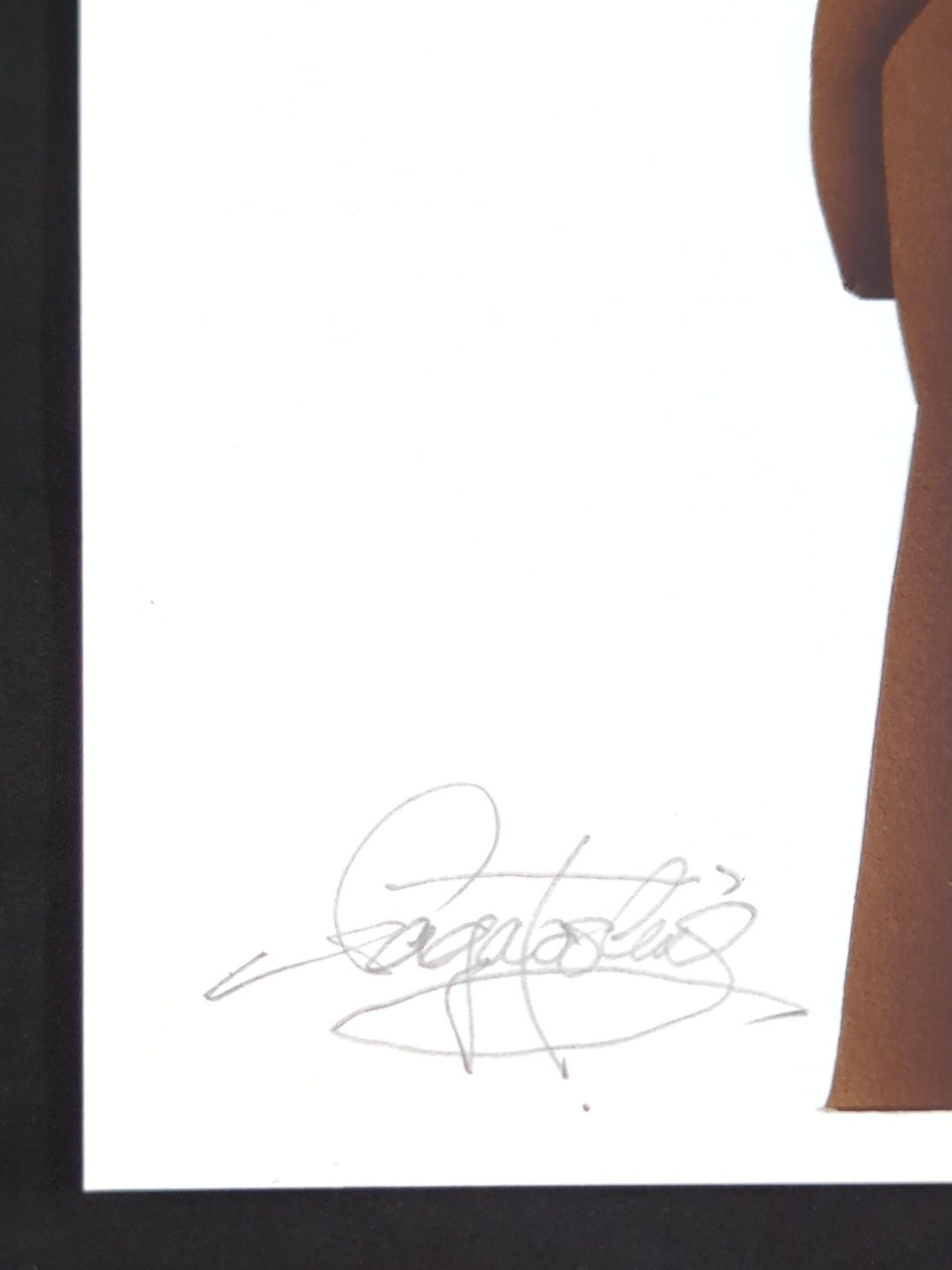 ★ Nagatoshi Sakai Original work ★ "Burning Fighting Spirit" AntonioInoki