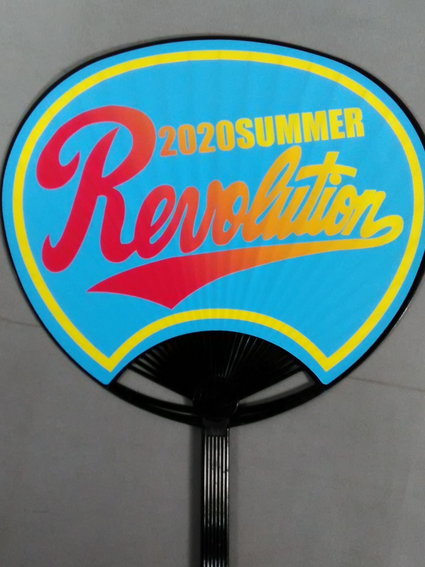 Pro Wrestling Uchiwa (paper fan) Variety Set