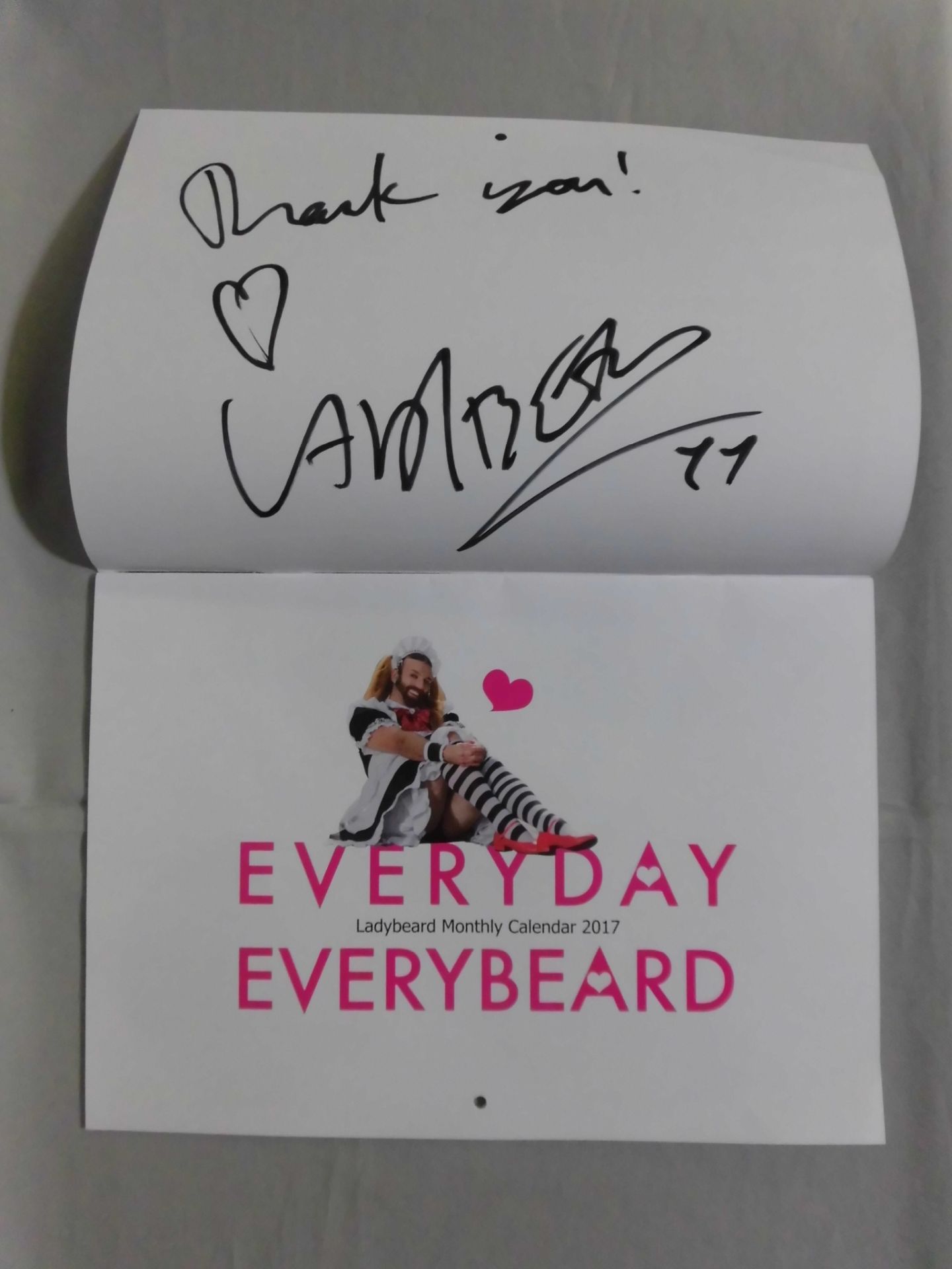 Ladybeard Monthly Calendar 2017 EVERYDAY EVERYBEARD