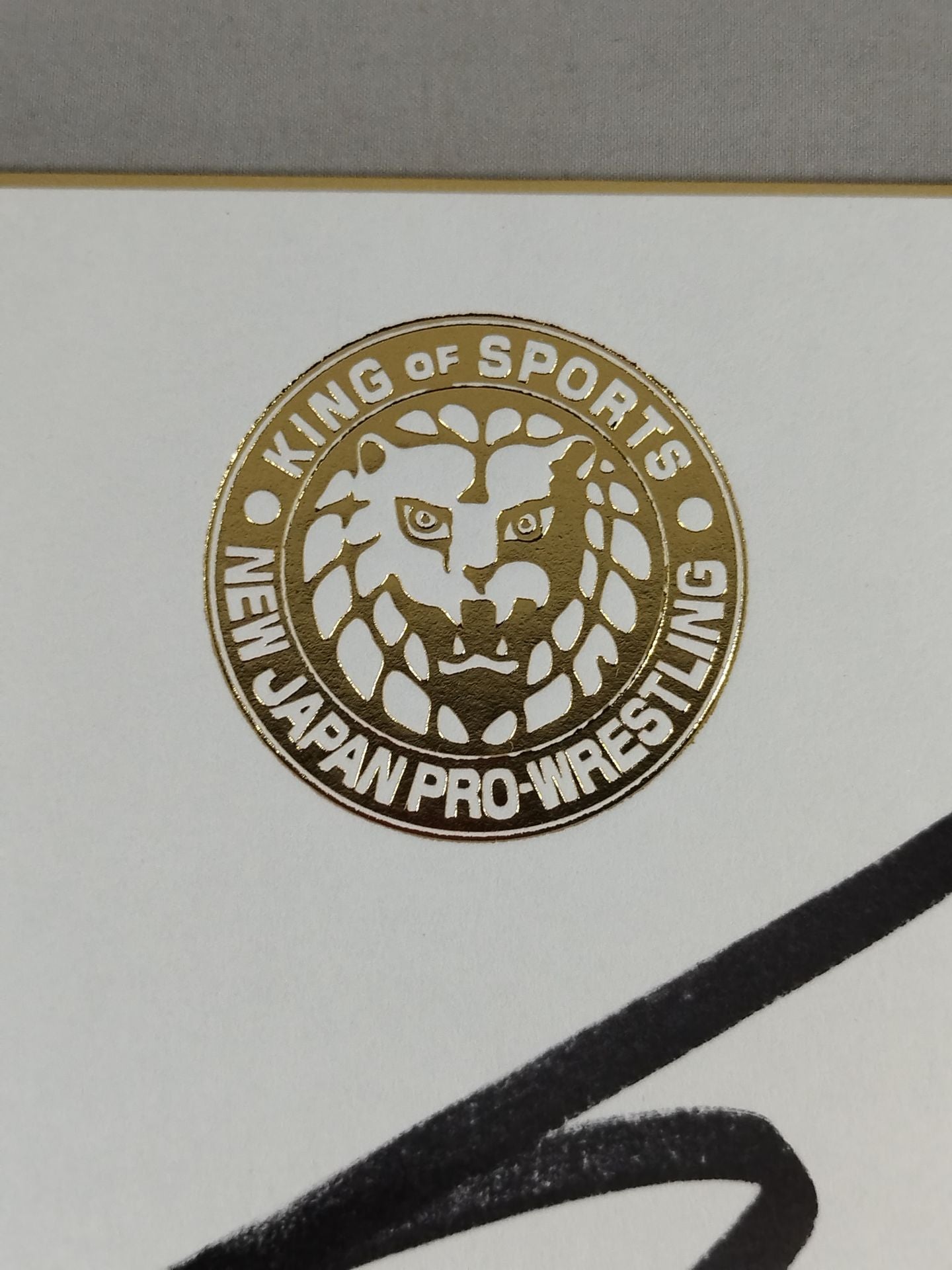 Kota Ibushi (Lion Mark ) Shikishi ( Autograph board ) )