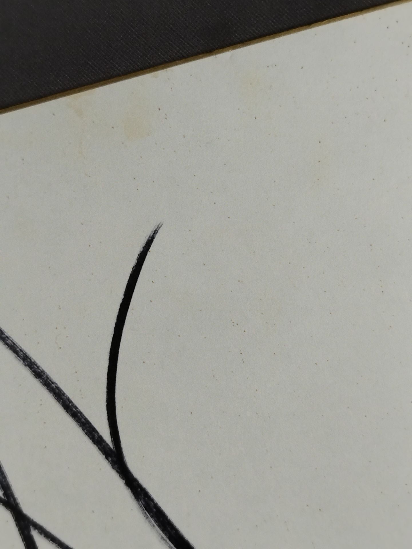 GEDO