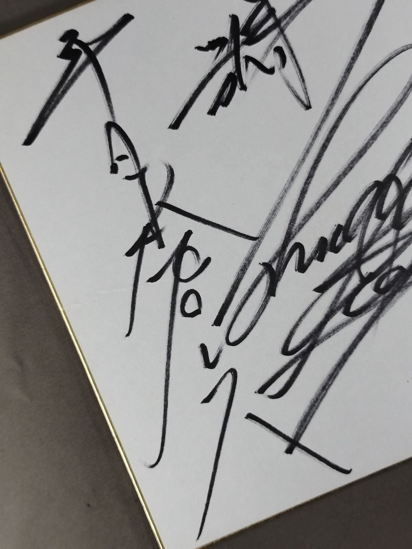 獣神サンダー・ライガー