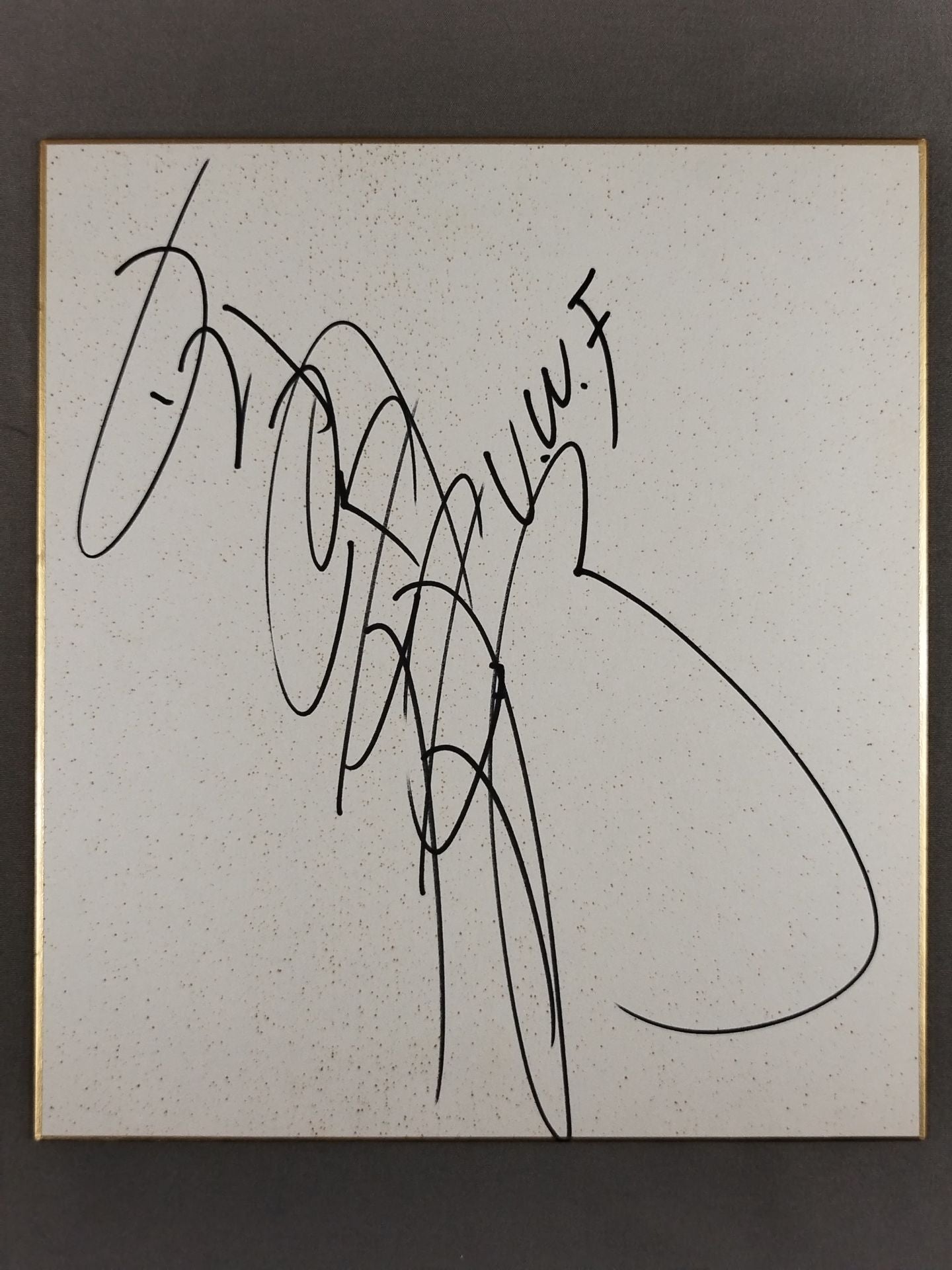 Nobuhiko Takada (UWF)