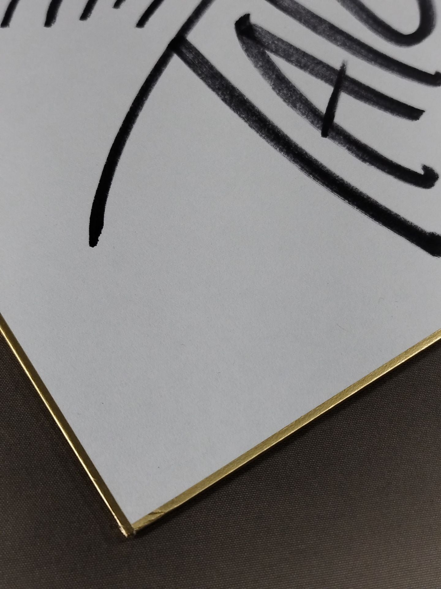 タイチ(ライオンマーク色紙)