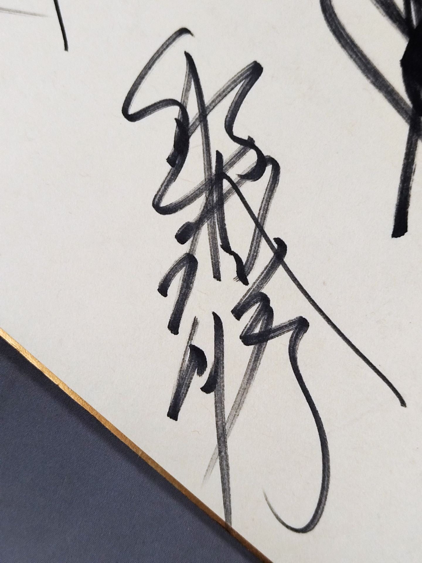 ★ハイブリッド★ パンクラス 旗揚げメンバー 7選手寄せ書き