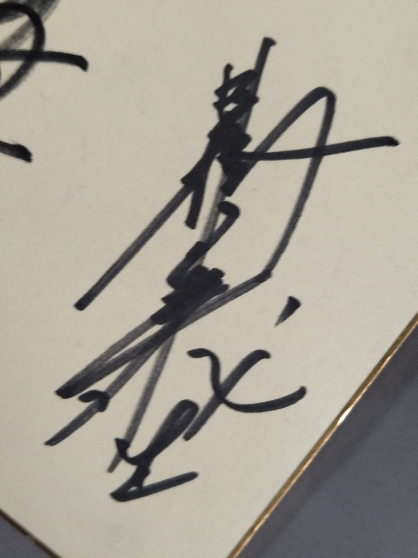 ★ハイブリッド★ パンクラス 旗揚げメンバー 7選手寄せ書き