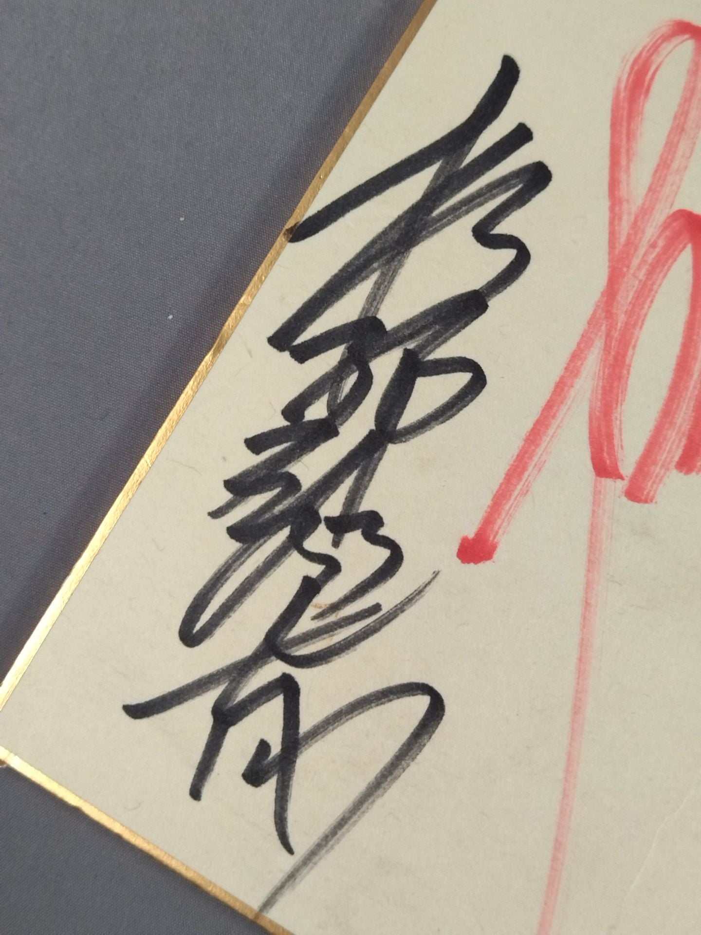 ★ハイブリッド★ パンクラス 旗揚げメンバー 7選手寄せ書き