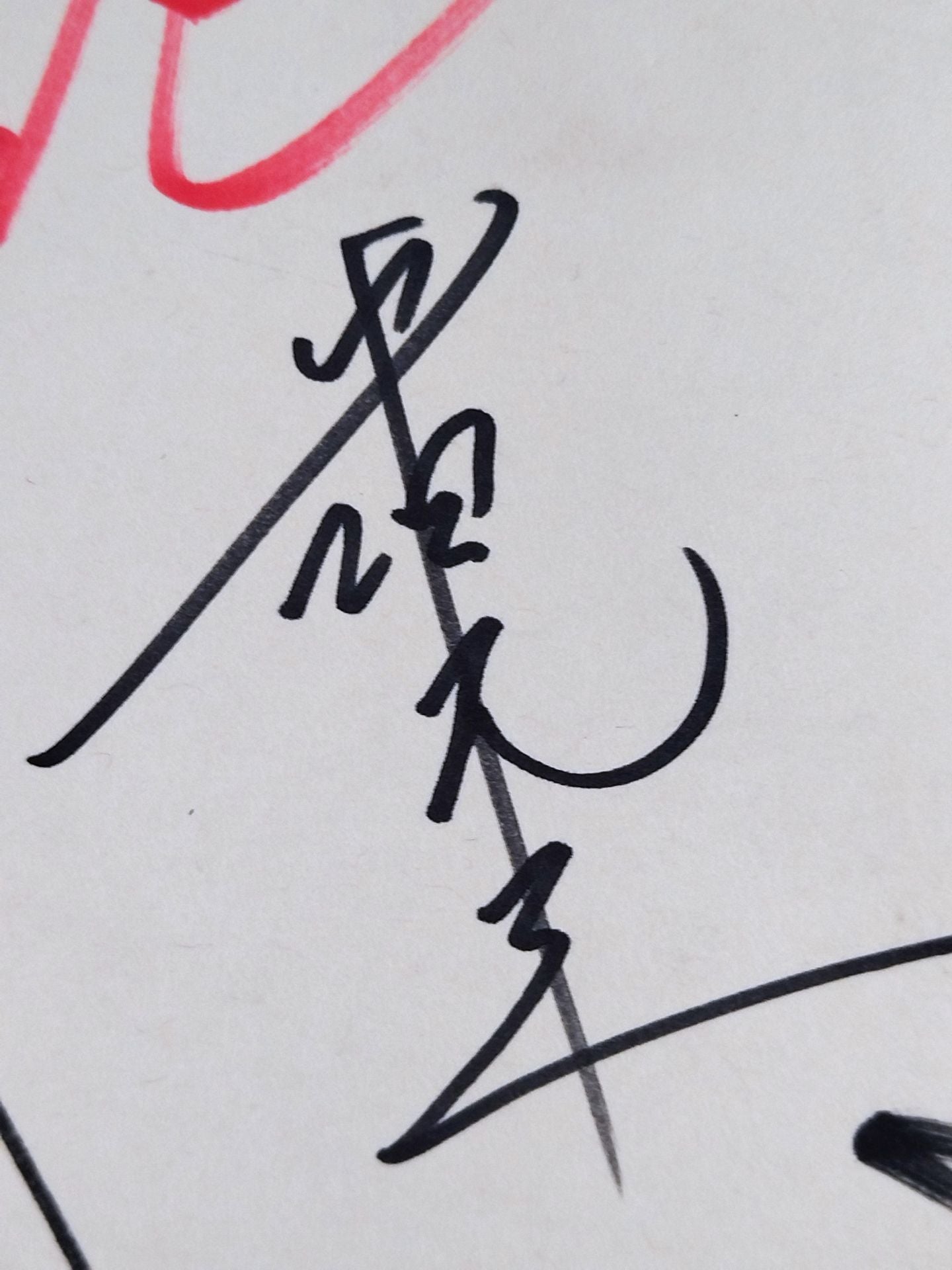 ★ハイブリッド★ パンクラス 旗揚げメンバー 7選手寄せ書き