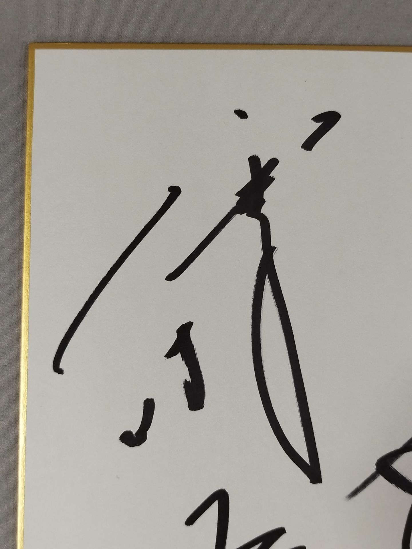WJプロレス 4選手寄せ書き