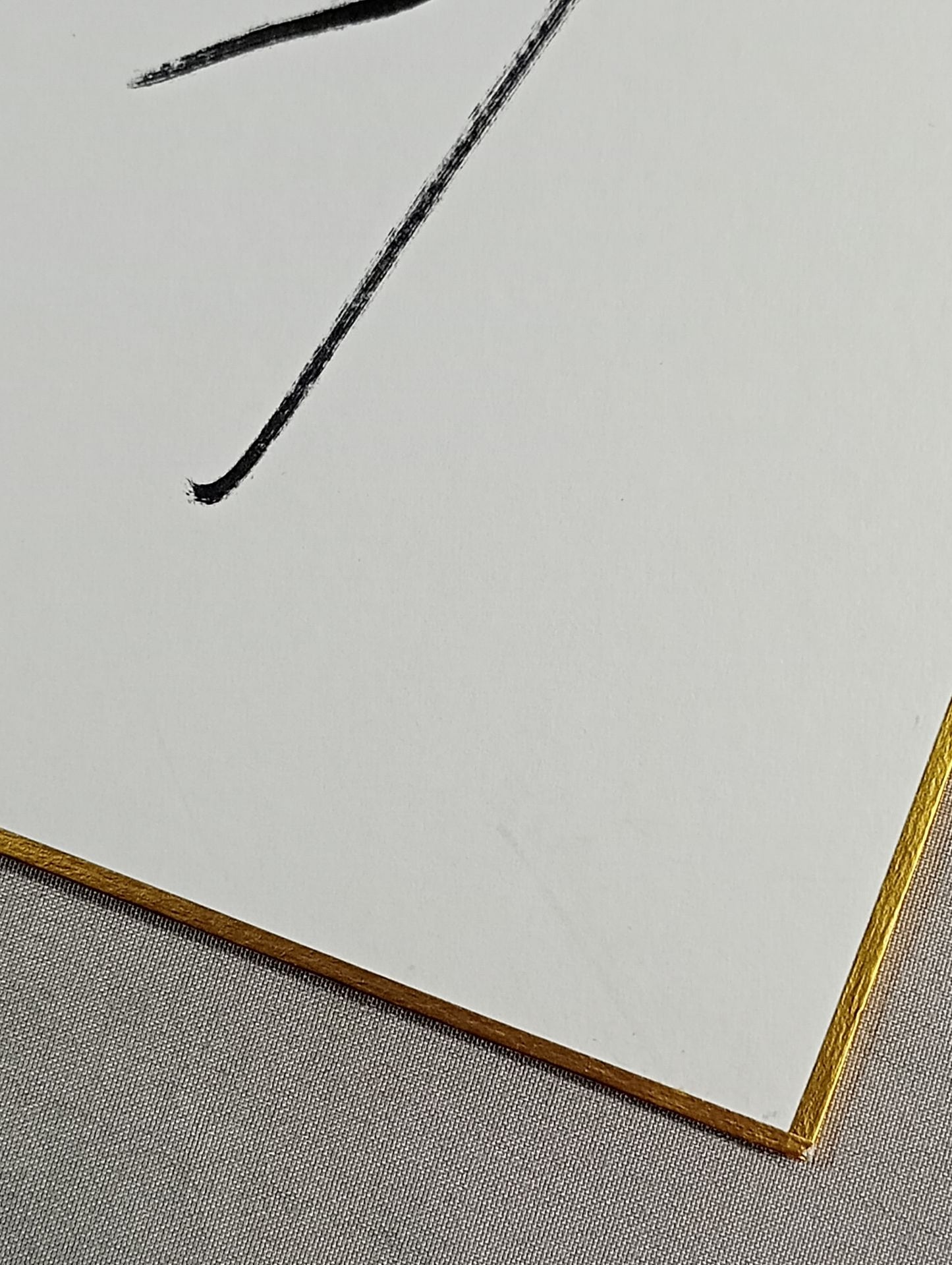 ★ Tenkoji ★ Hiroyoshi Tenzan & Satoshi Kojima