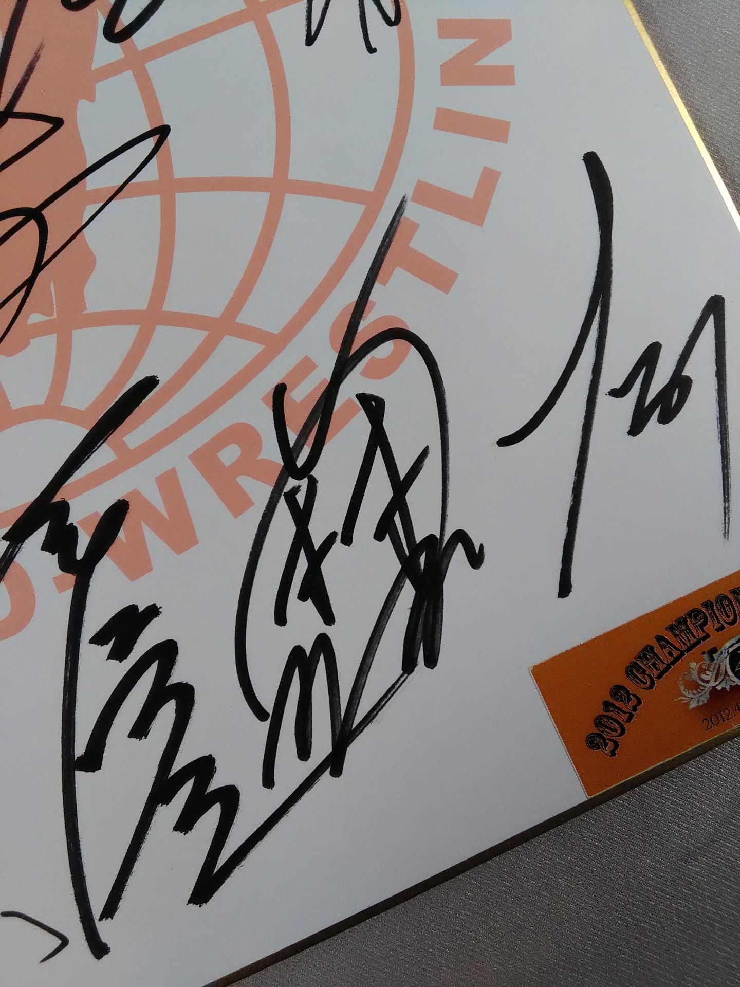 ★2012 Carnival ★ of Champions All fighters (All Japan) Pro Wrestling exclusive Shikishi ( Autograph board ) )