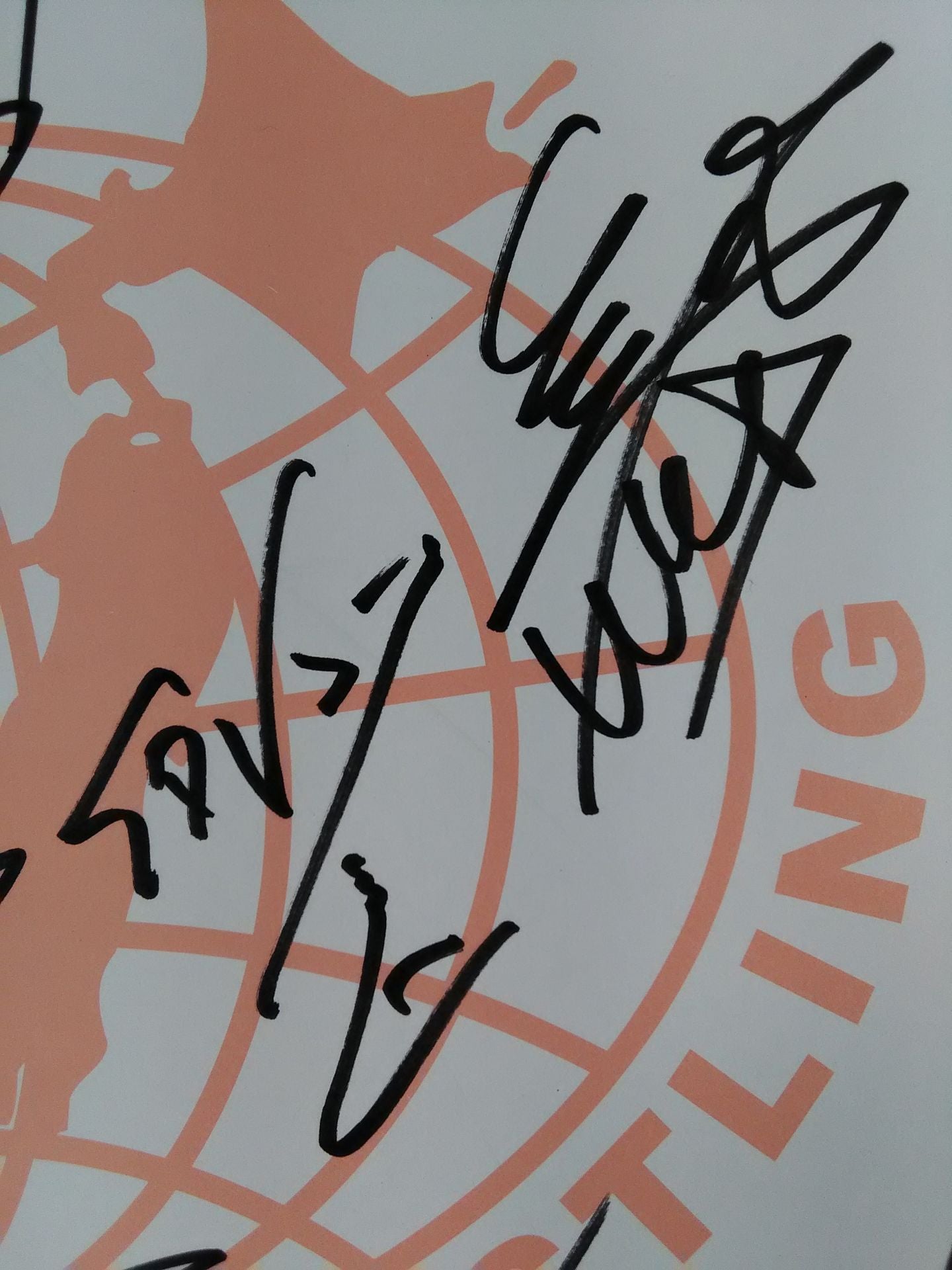 ★2012 チャンピオン・カーニバル★ 参加全選手 寄せ書き(全日本プロレス専用色紙)