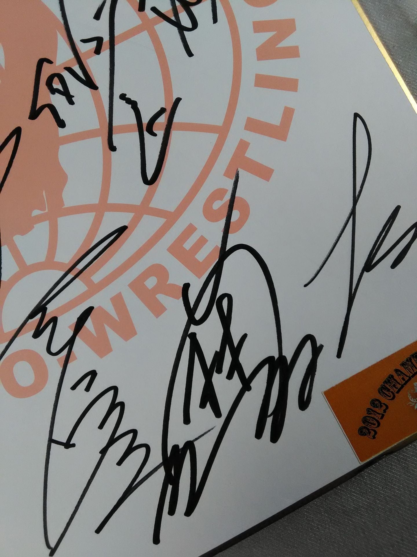 ★2012 チャンピオン・カーニバル★ 参加全選手 寄せ書き(全日本プロレス専用色紙)