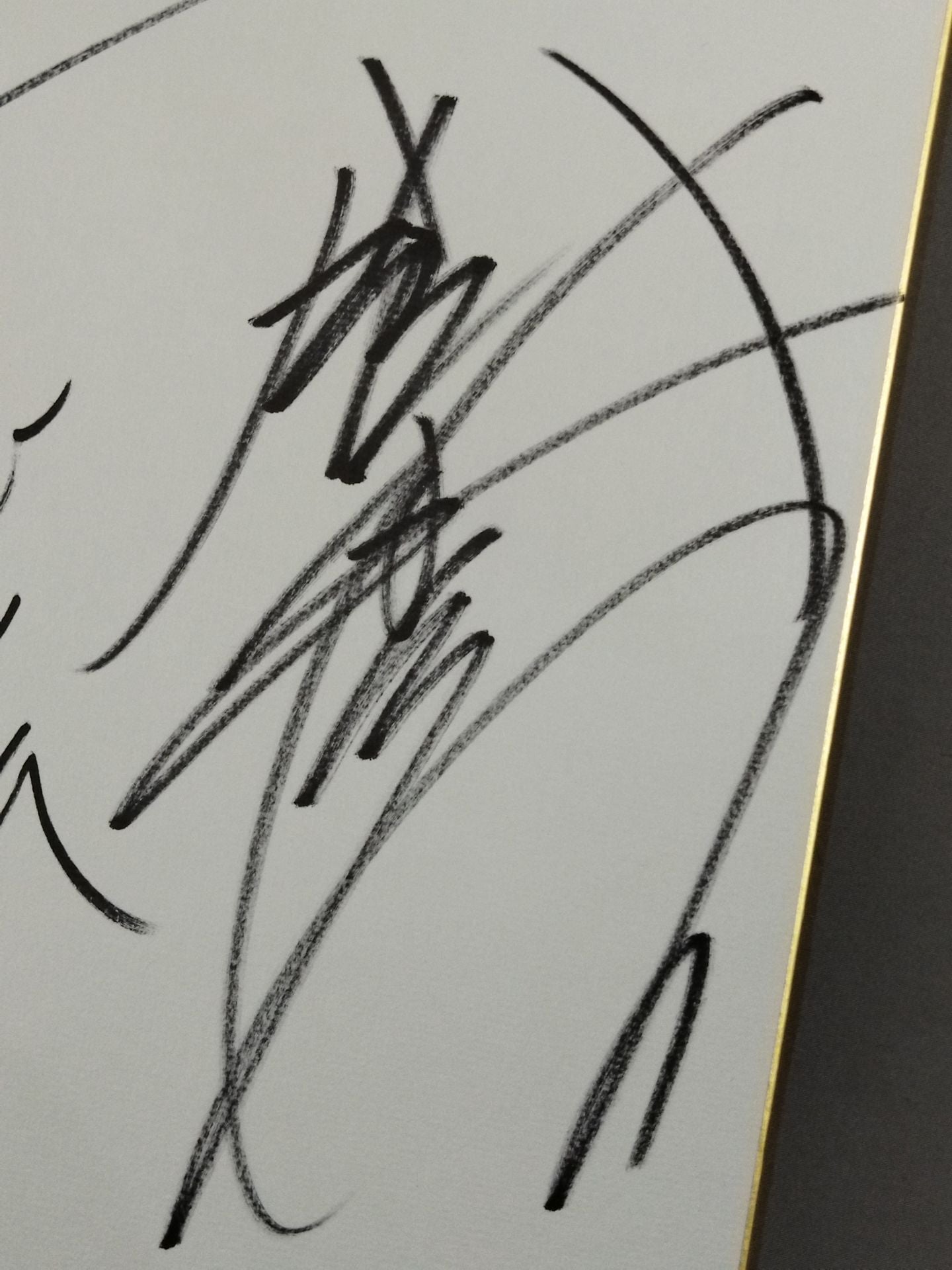 太陽ケア&鈴木みのる