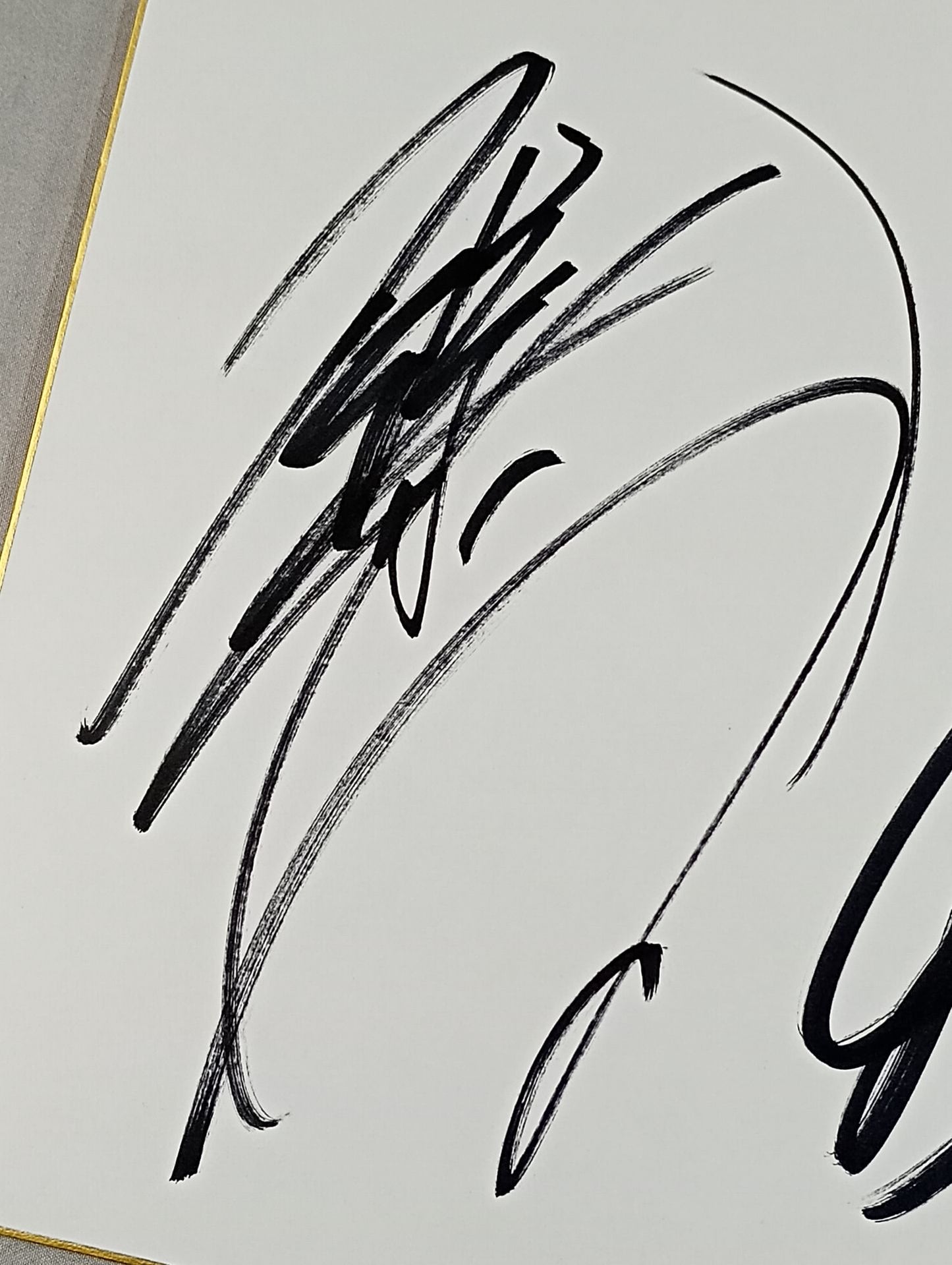 Minoru Suzuki & Go Shiozaki
