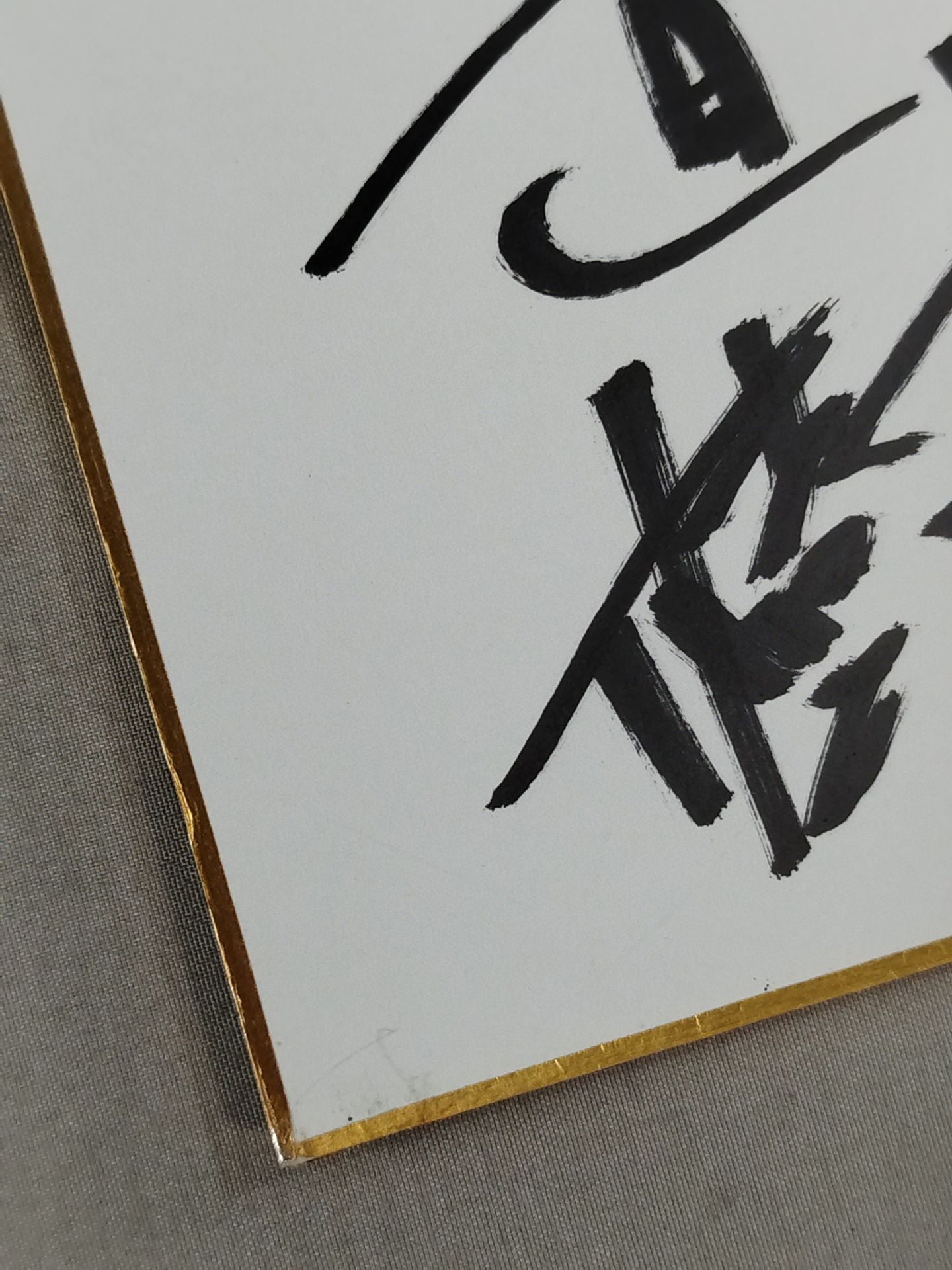 大塚直樹&竹田勝司(ジャパンプロレスステッカー貼付)