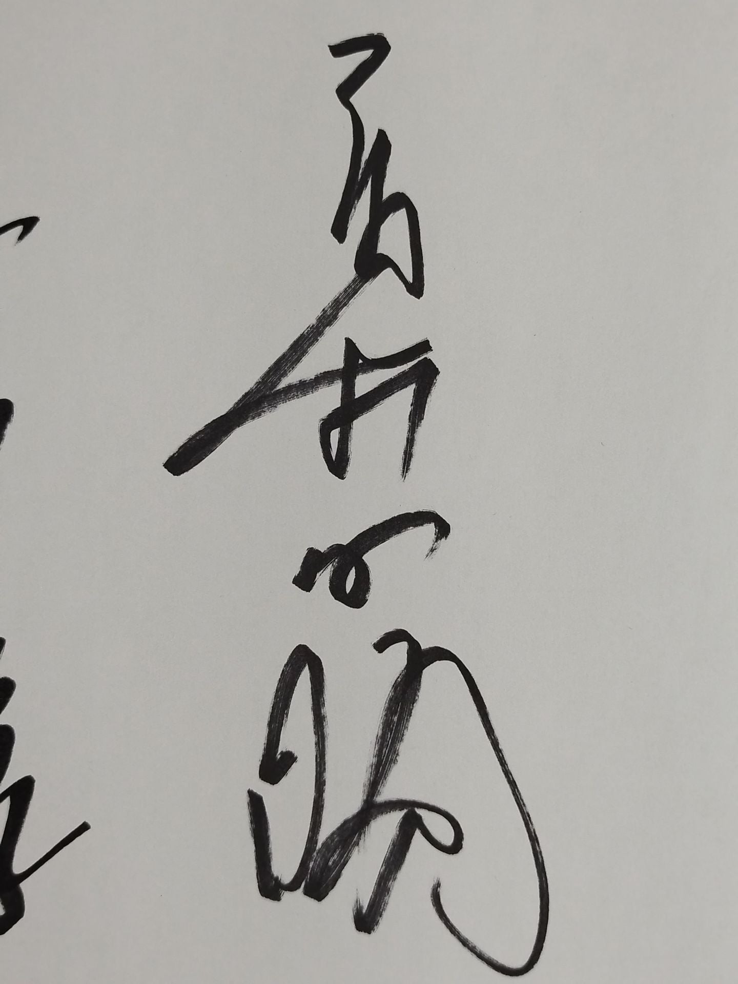 Yoshiaki Fujiwara & Masakatsu Funaki