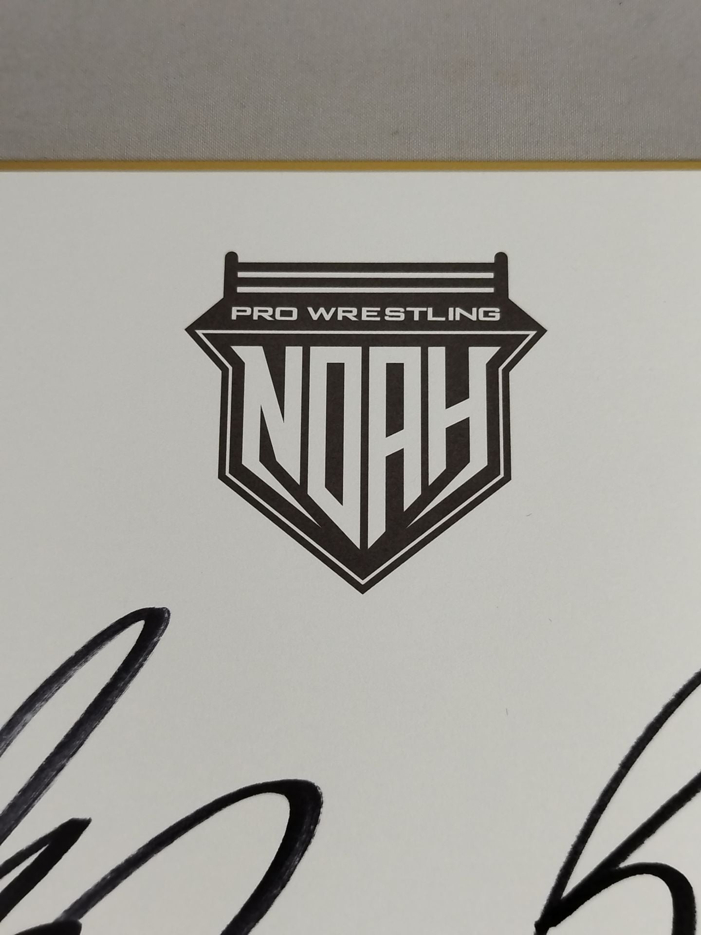 征矢学&近藤修司(NOAH専用色紙)