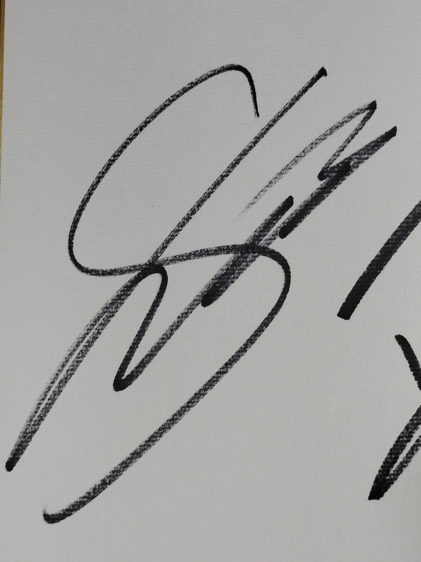 蝶野正洋&カイリ・セイン