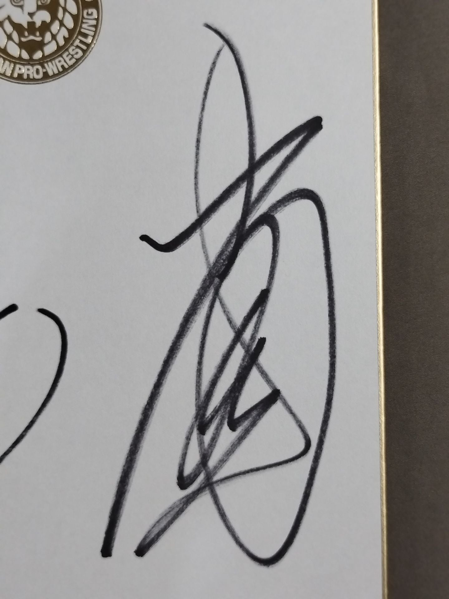 ★ Tenkoji ★ Hiroyoshi Tenzan & Satoshi Kojima (Lion Mark Shikishi ( Autograph board ) )