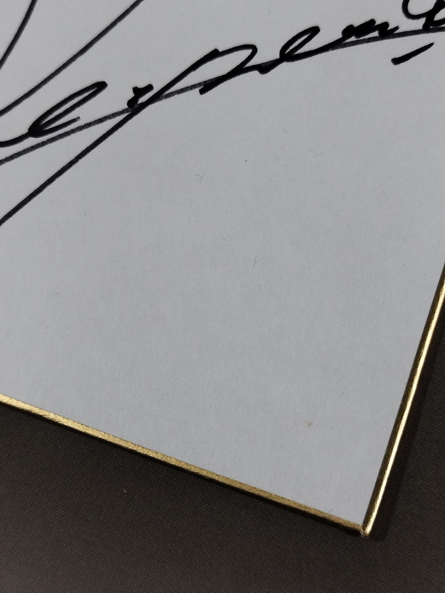 Yoshinobu Kanemaru and Lion Mark Shikishi ( Autograph board ) )