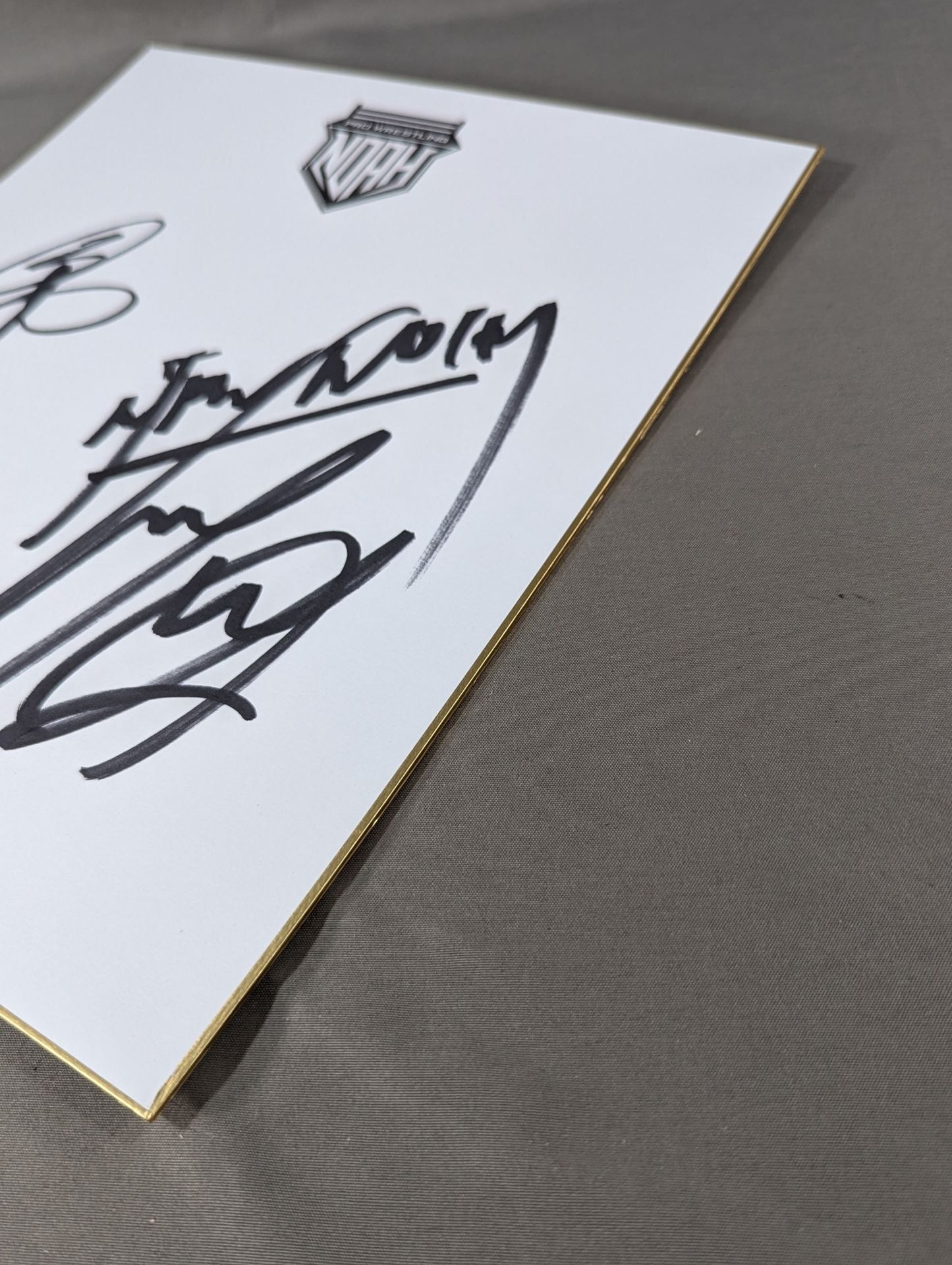 清宮海斗&大岩陵平(NOAH専用色紙)