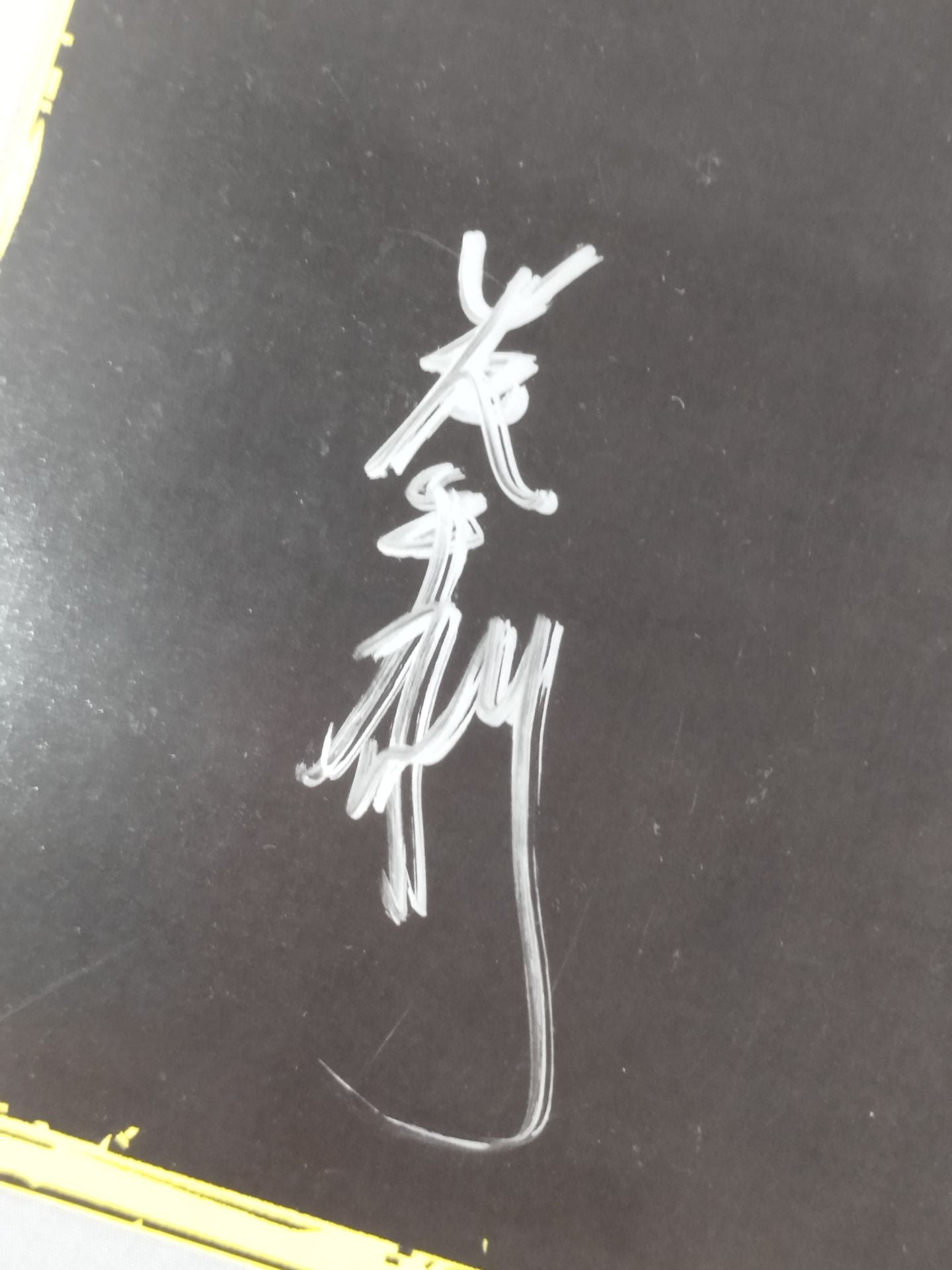 YOUNG BLOOD MIZUCHI-R 2013 出場5選手 寄せ書き(専用厚紙)