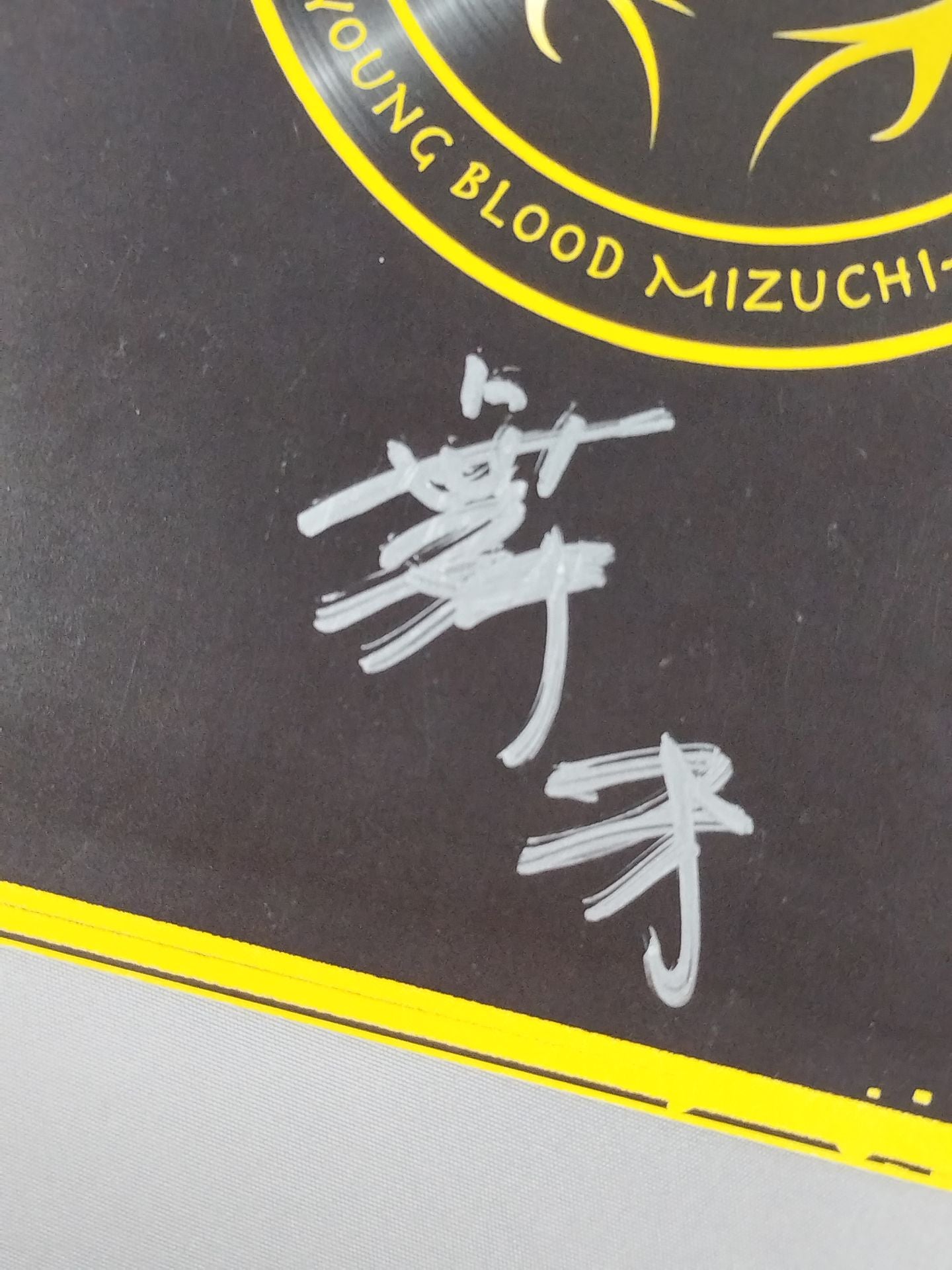 YOUNG BLOOD MIZUCHI-R 2013 出場5選手 寄せ書き(専用厚紙)