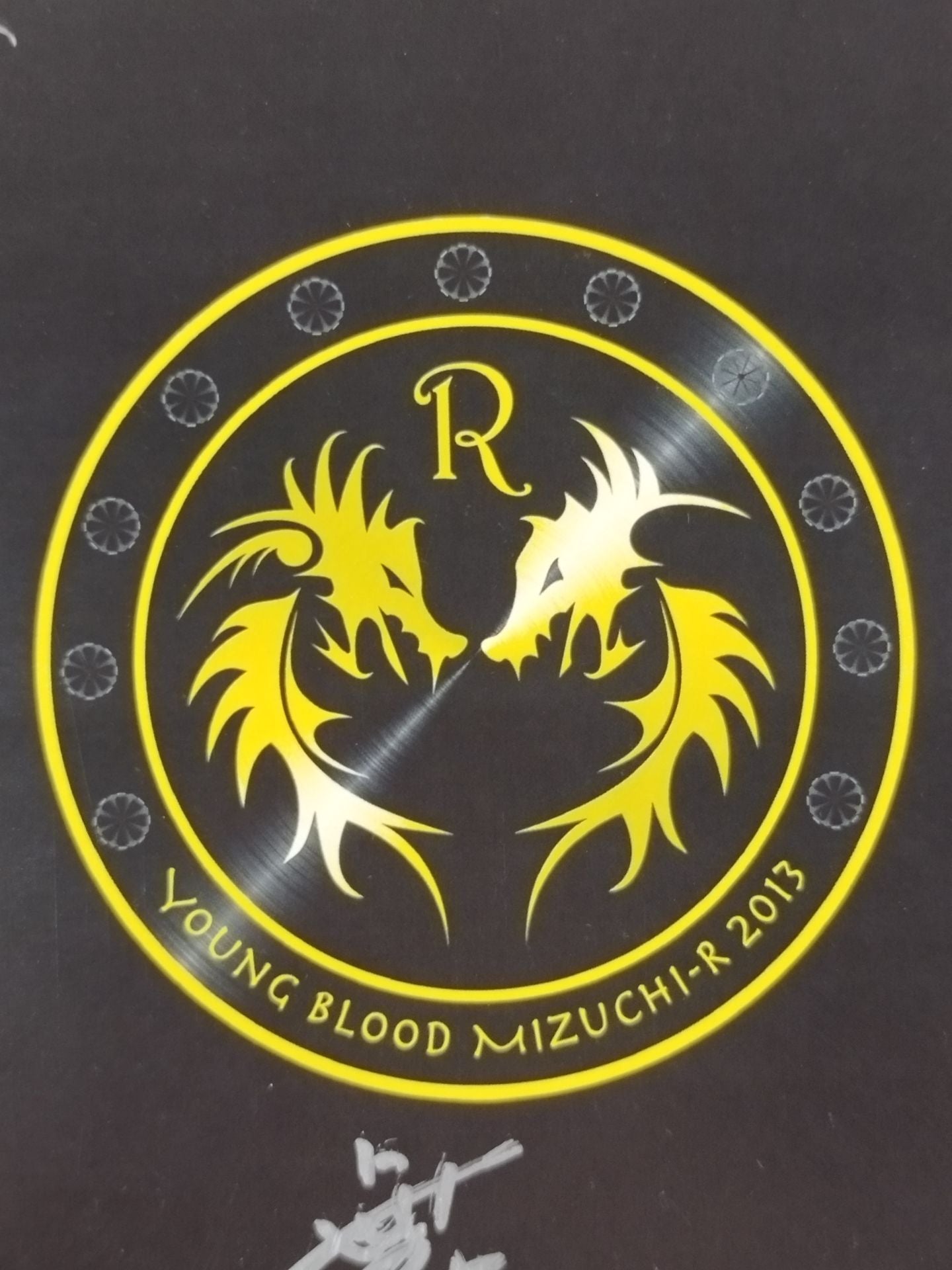 YOUNG BLOOD MIZUCHI-R 2013 出場5選手 寄せ書き(専用厚紙)