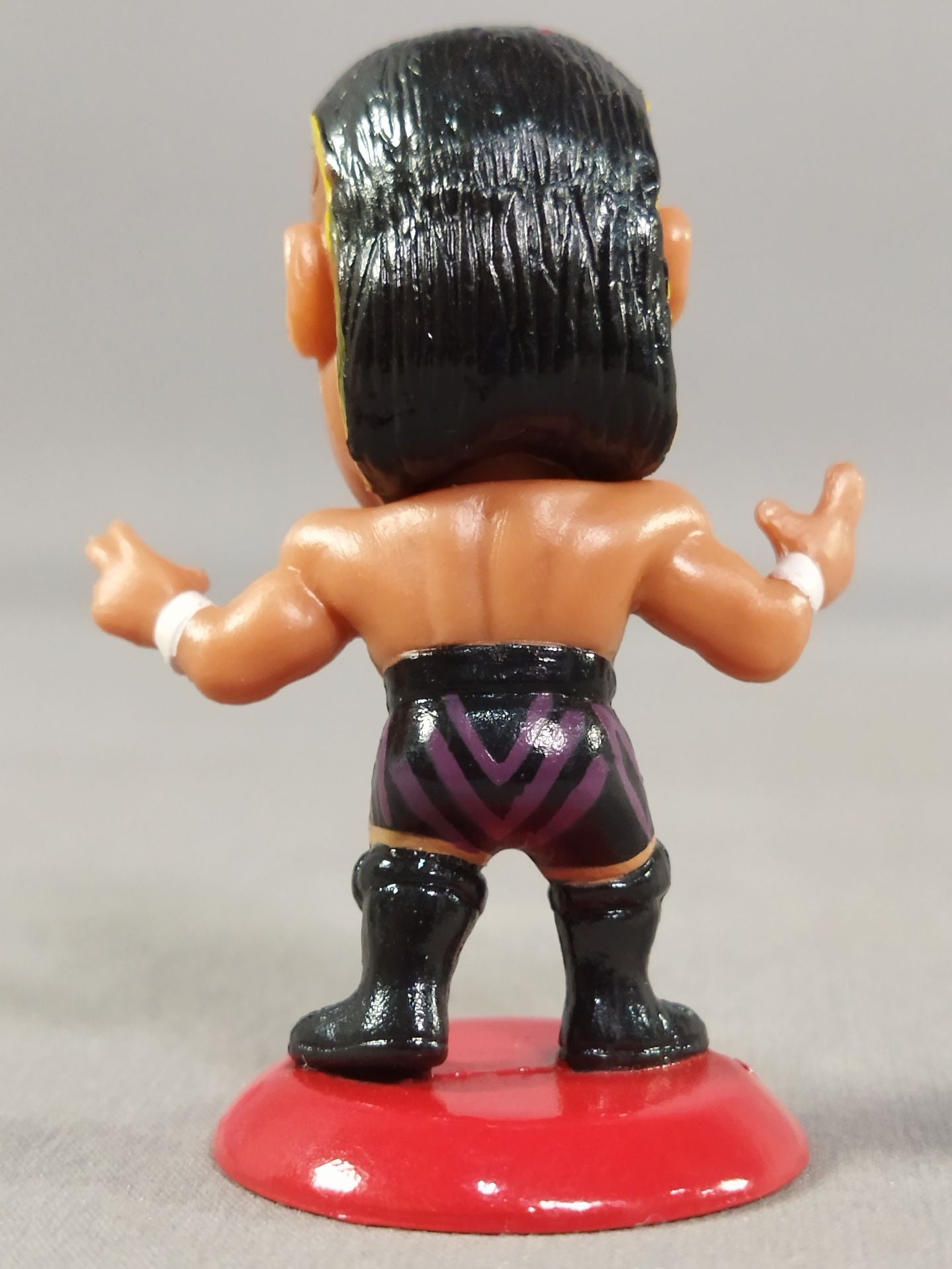 Hiroyoshi Tenzan (A) Black Tights