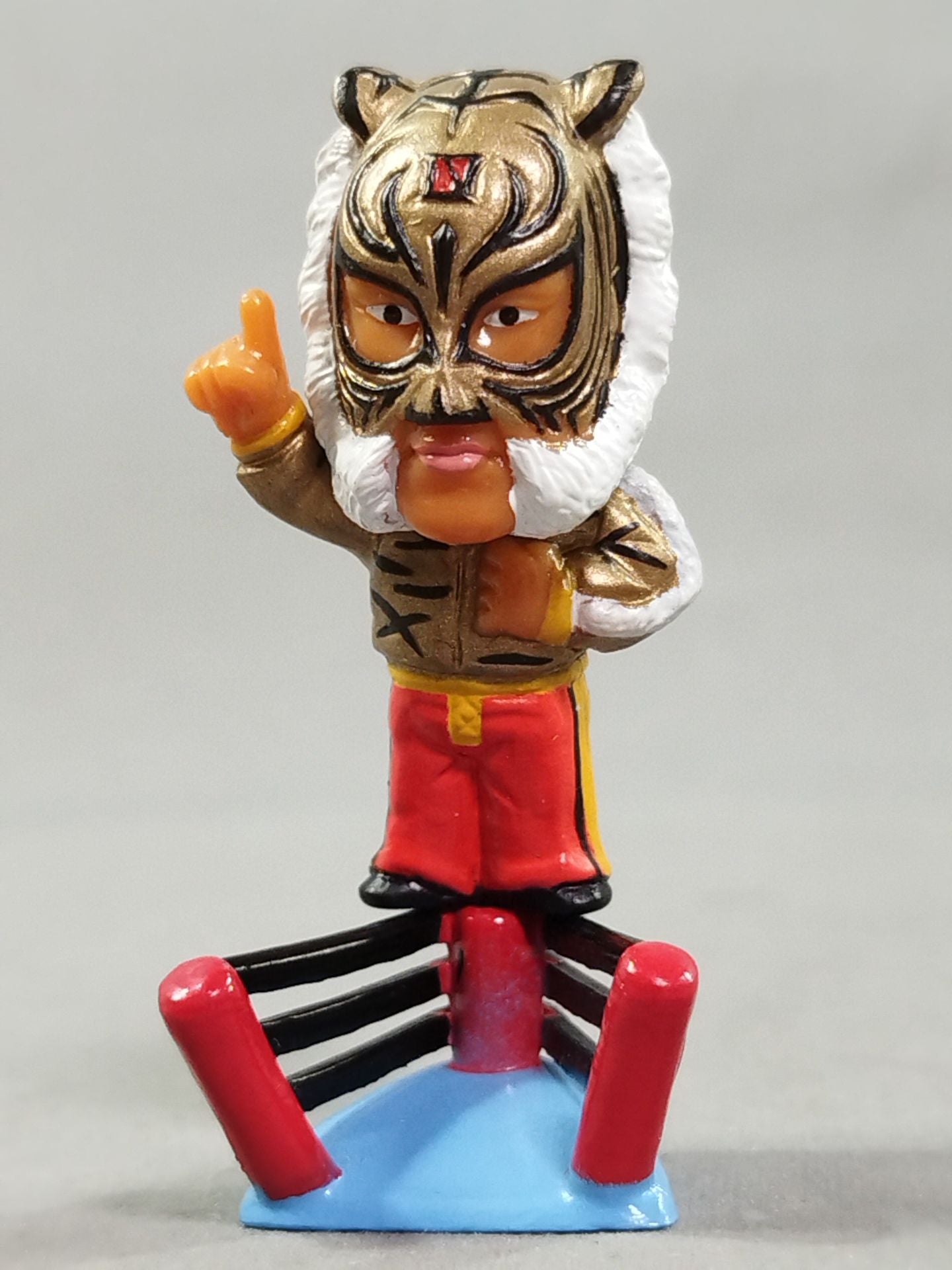 4代目タイガーマスク(ジャケット着用コーナーポスト) – 闘道館