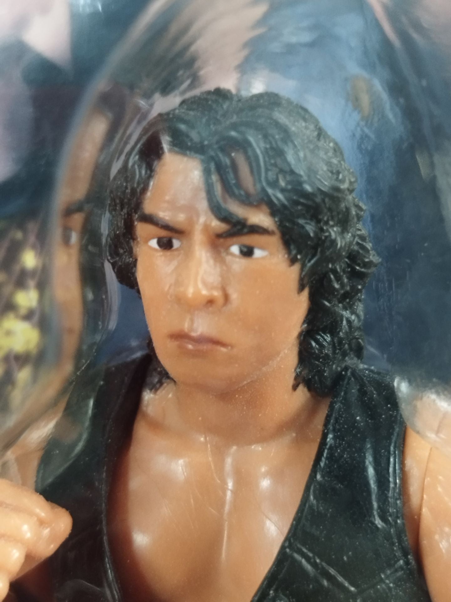 Yoshinari Ogawa & Naomichi Marufuji(Bronze only for Marufuji)