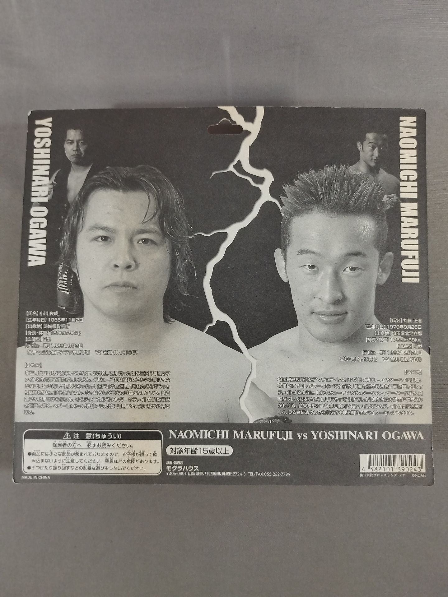 Yoshinari Ogawa & Naomichi Marufuji(Bronze only for Marufuji)