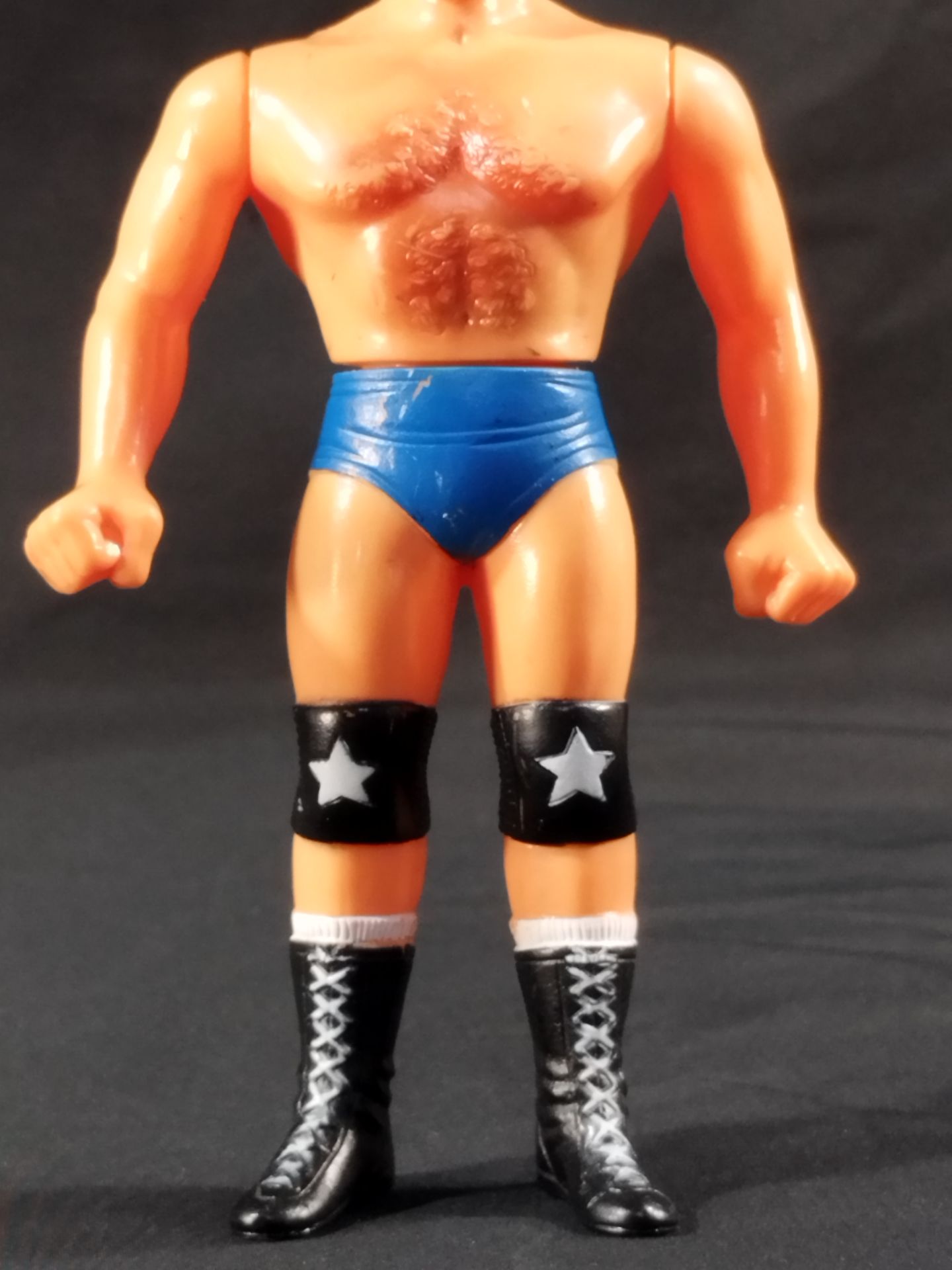 ★ ★ Super Pro Wrestler series Terry Funk