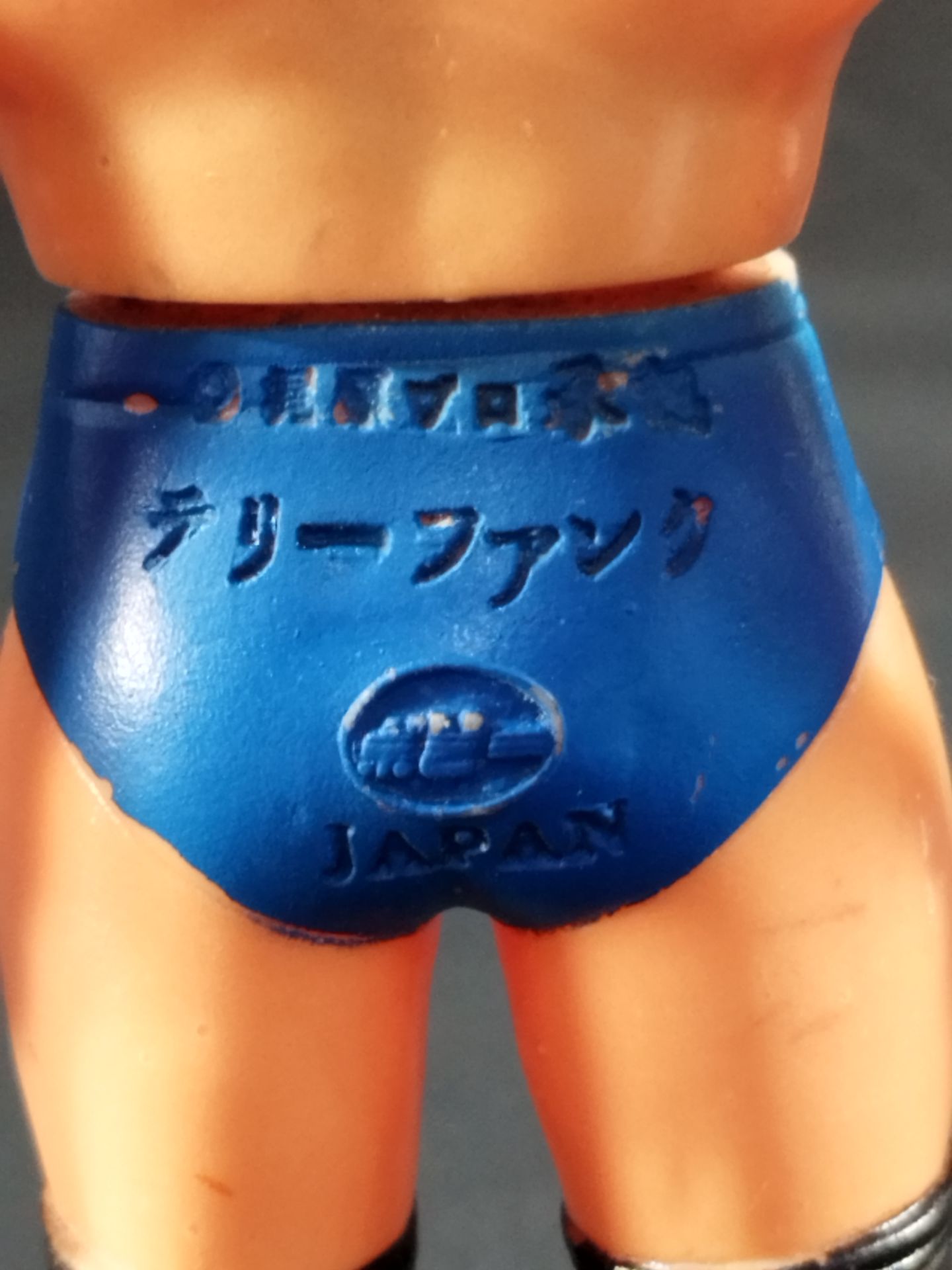 ★ ★ Super Pro Wrestler series Terry Funk