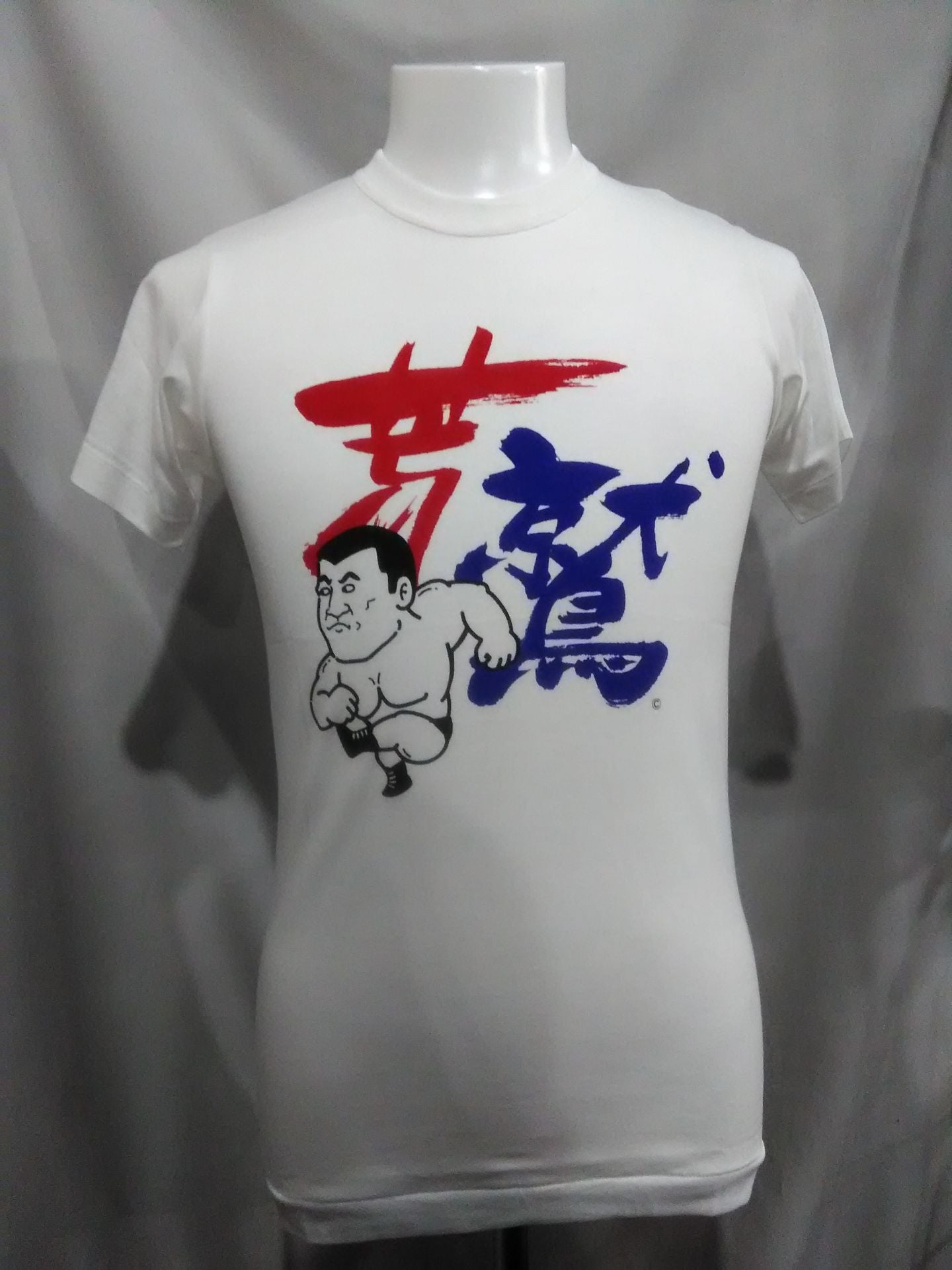 Seiji Sakaguchi "Rough Eagle" T-shirt