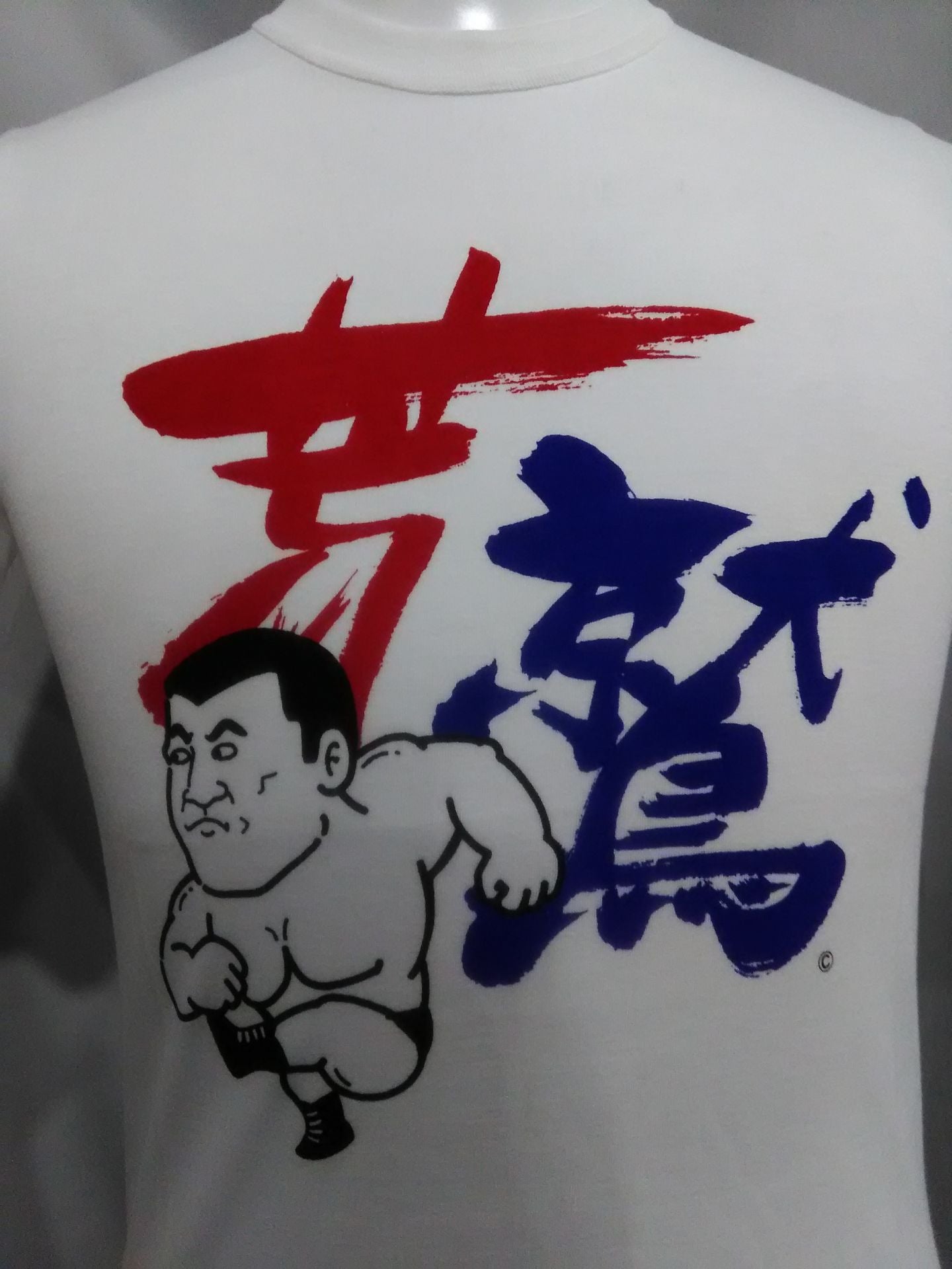 Seiji Sakaguchi "Rough Eagle" T-shirt