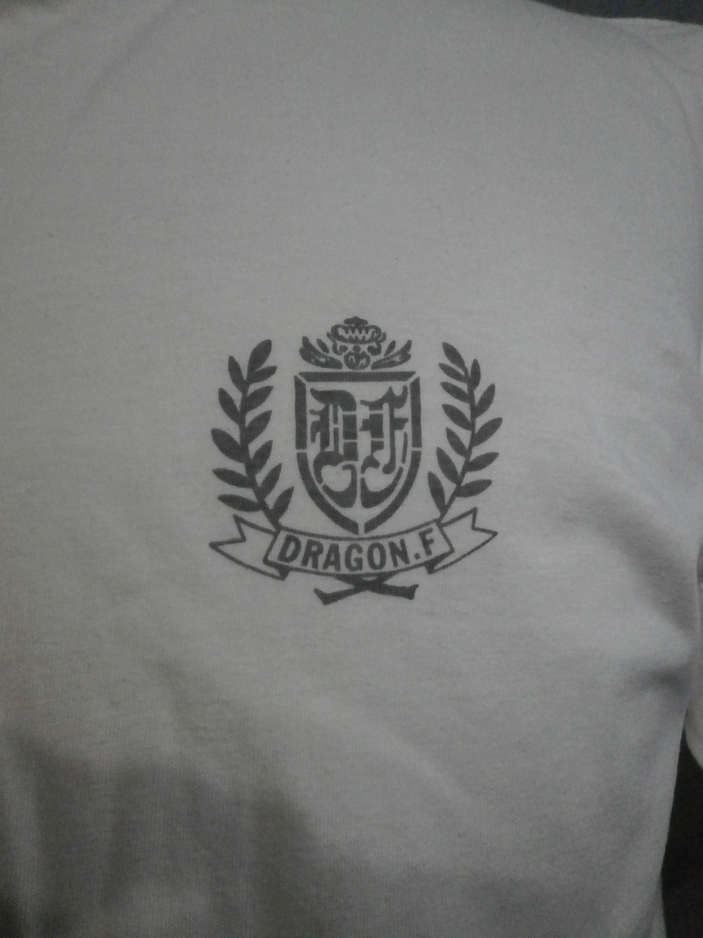 BOMBERS POWER of THE DRAGON Tシャツ①(ホワイト)