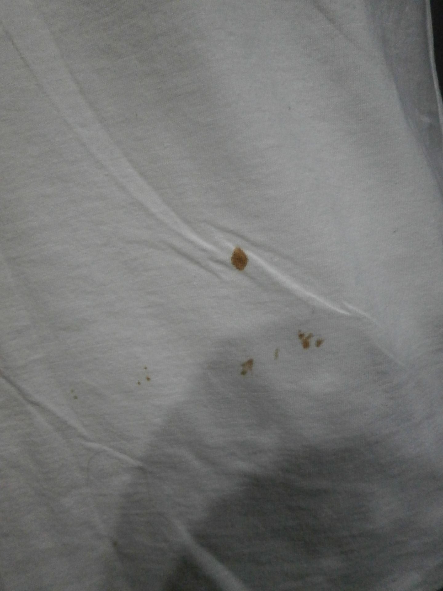 BOMBERS POWER of THE DRAGON Tシャツ①(ホワイト)