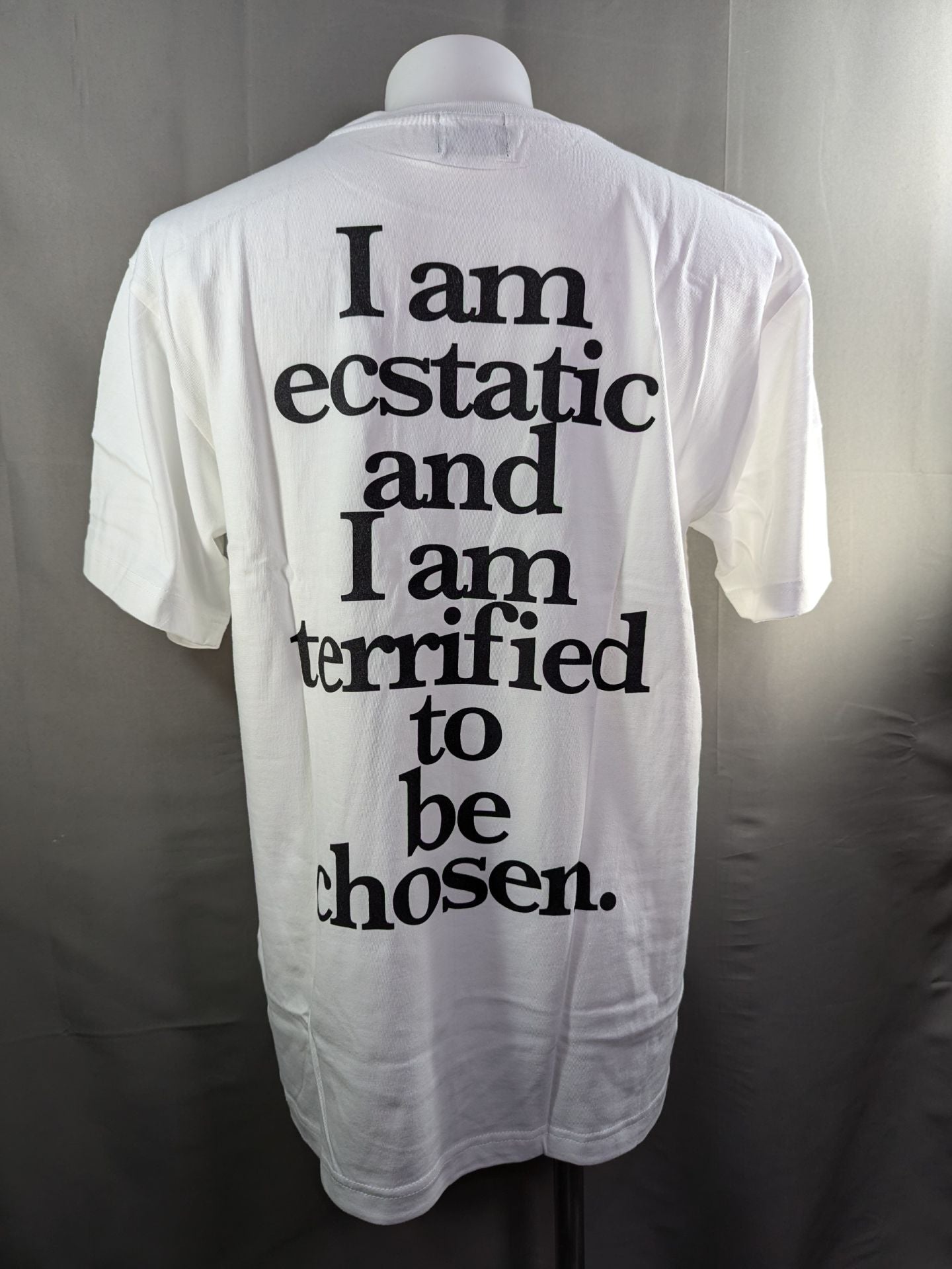 Akira Maeda  "ECSTATIC AND TERRIFILD" T-shirt (white)