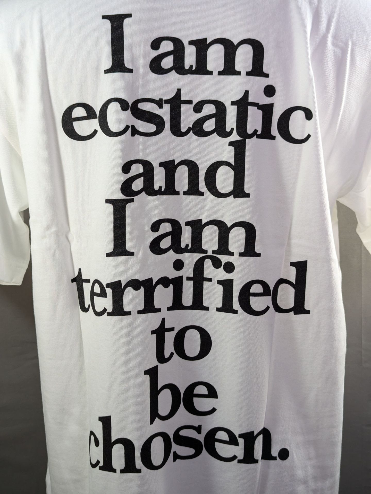 Akira Maeda  "ECSTATIC AND TERRIFILD" T-shirt (white)