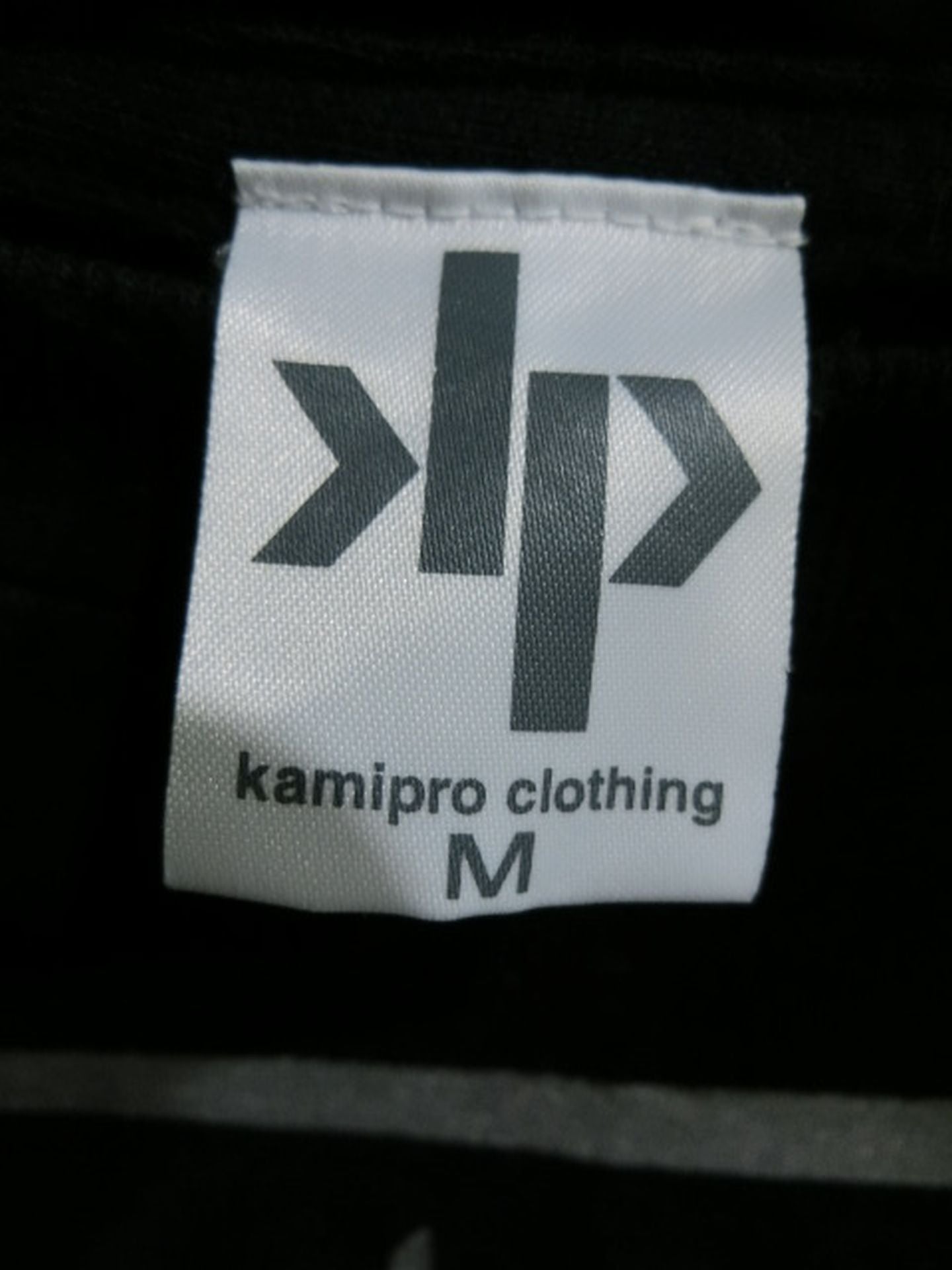 インリン様 イラスト Tシャツ