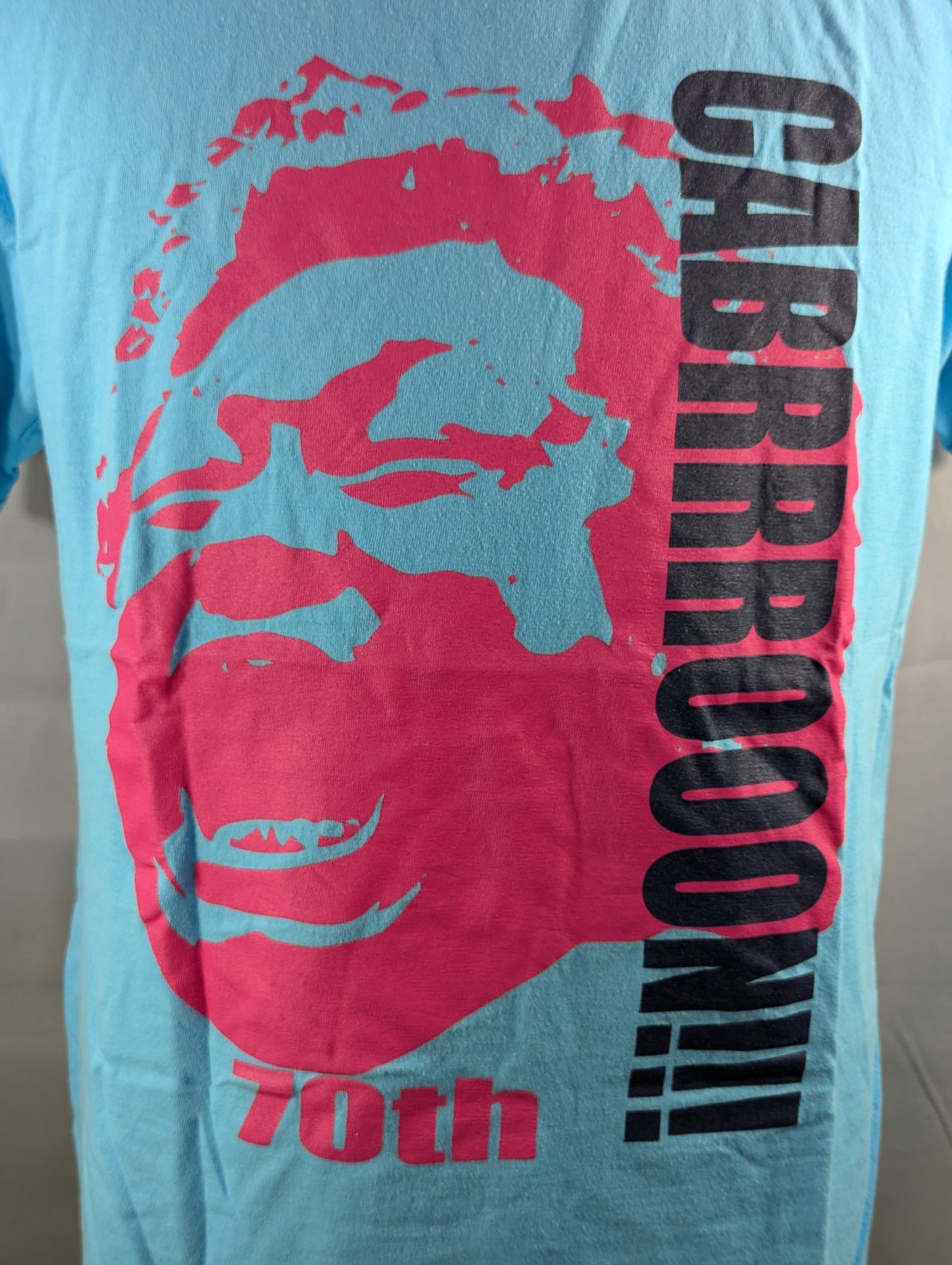 天龍プロジェクト×パイルドライバー コラボ「天龍CABRRROOON!」Tシャツ(ライトブルー)