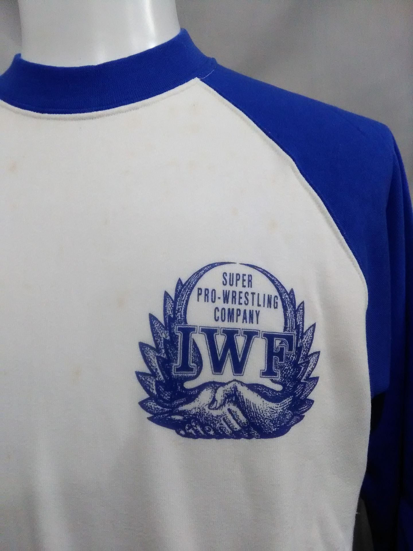 ★ SUPER PRO-Wrestling COMPANY★ IWF Trainer