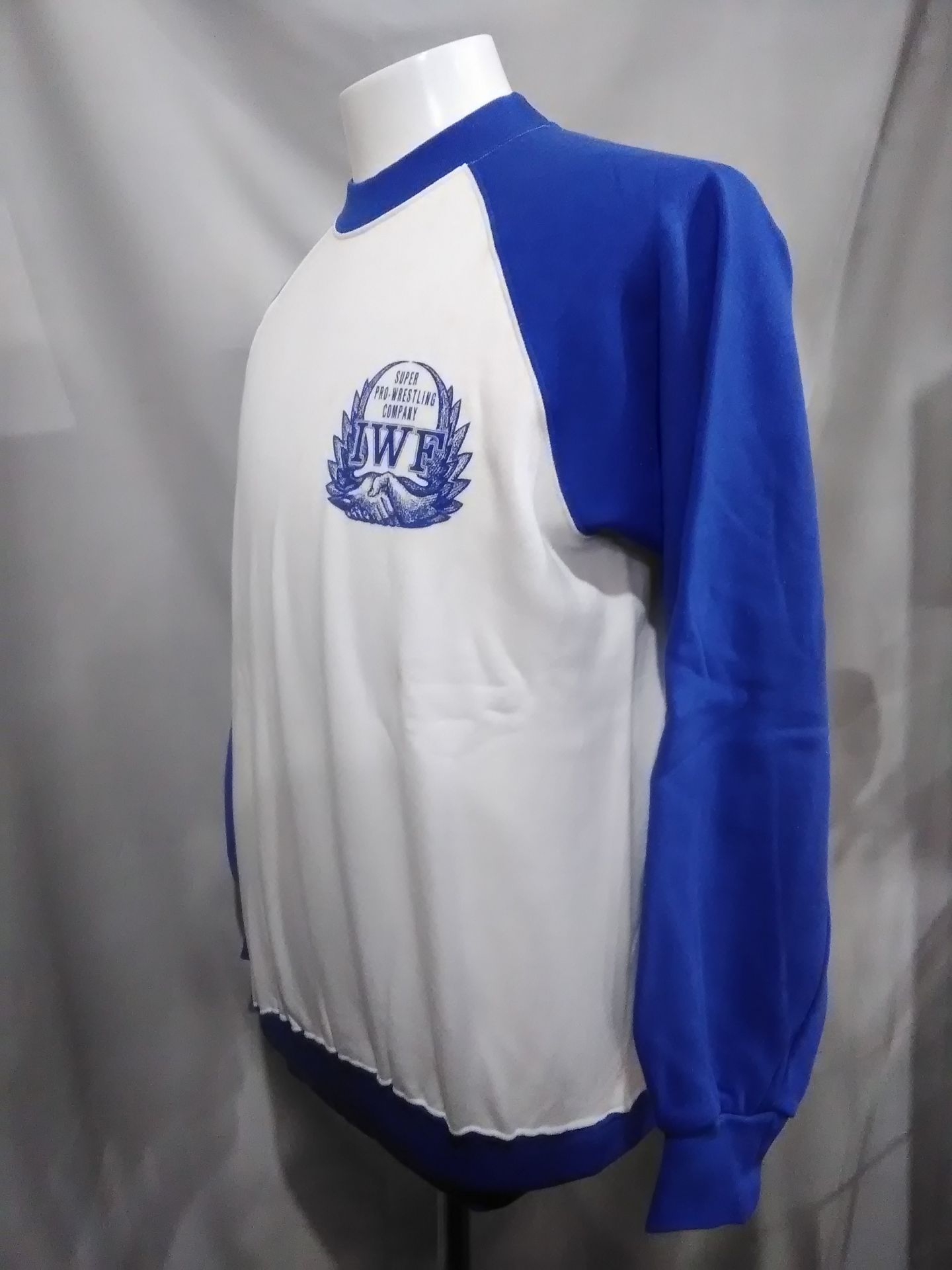 ★ SUPER PRO-Wrestling COMPANY★ IWF Trainer