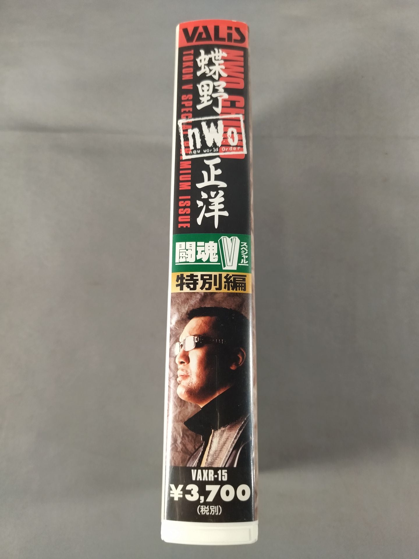 蝶野nWo正洋 闘魂Vスペシャル 特別編