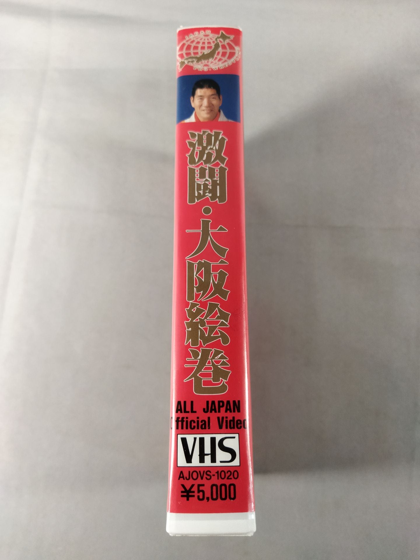 激闘・大阪絵巻 ’95新春ジャイアント・シリーズ