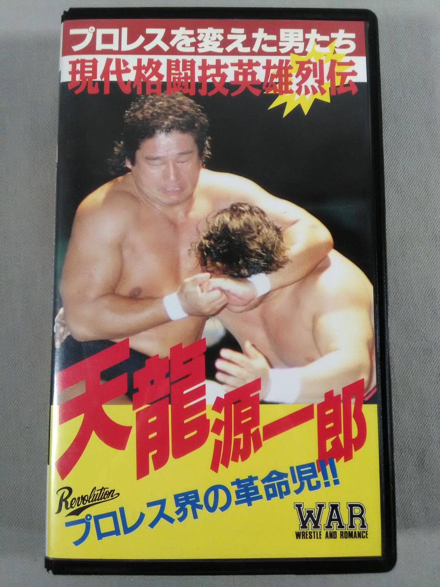 プロレスを変えた男たち 現代格闘技英雄列伝 天龍源一郎